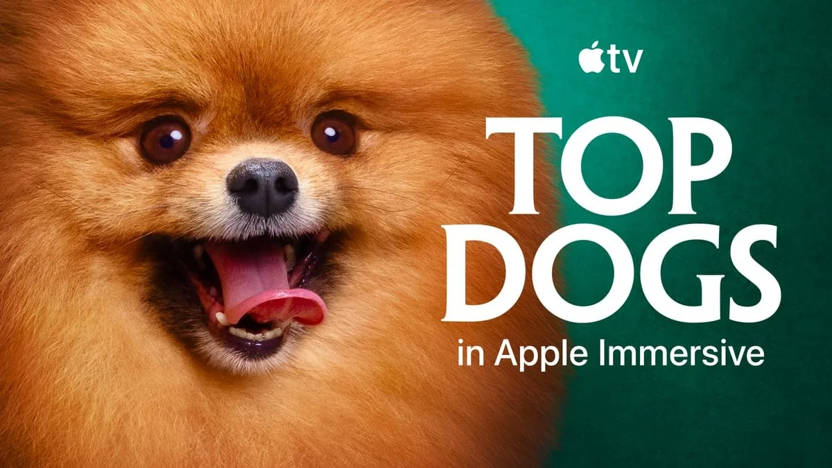Top Dog - Apple TV - 2nd Unit - Steadicam Operator
