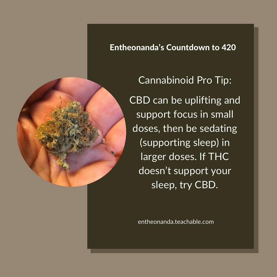 &hellip;an example of how cannabinoids are biphasic. It so supportive to give your nervous system and endocannabinoid system a chance and time to gently understand and experience any/each form of cannabis.
.
#microdosing #macrodosing #plantmedicine