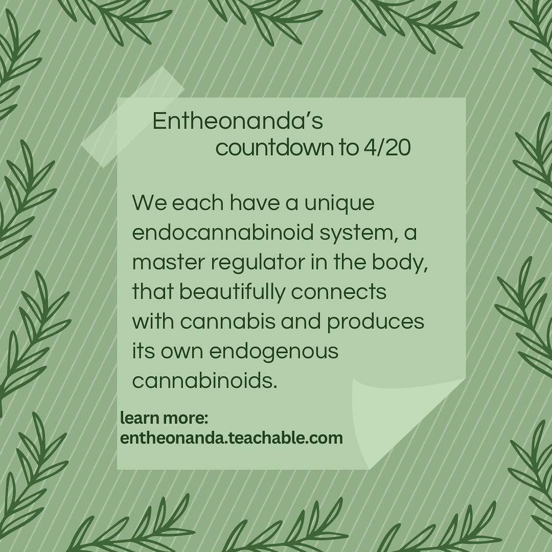 Basically, we produce our own cannabis (ok, technically they&rsquo;re cannabis-like molecules or endocannabinoids). When our endocannabinoid system (ECS) is functioning optimally, we don&rsquo;t really need any medicinal intervention, but all of our 