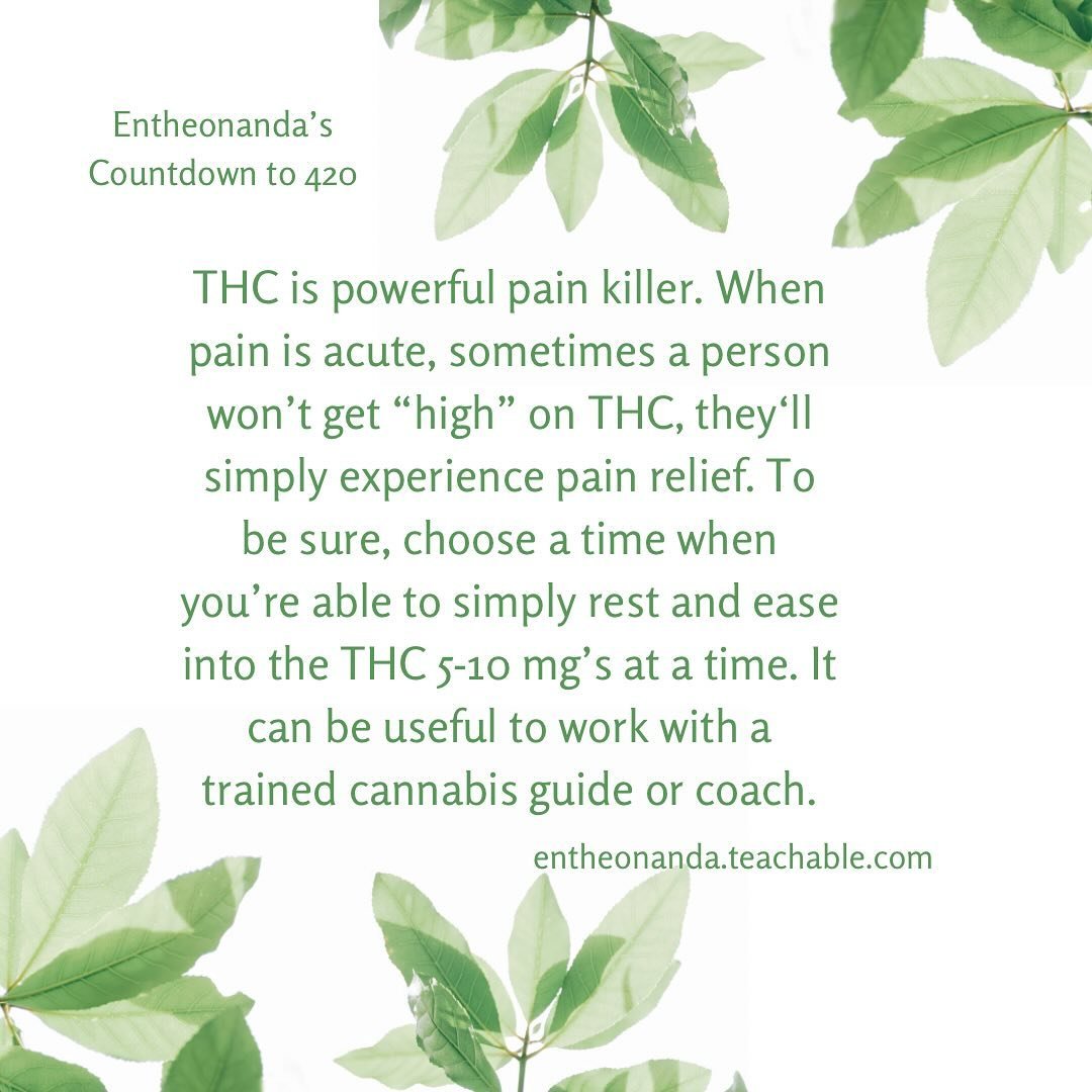 THC is incredible for pain - especially nerve pain. I personally have used it successfully for my own bouts of shingles and the pain of covid-induced fevers/body aches. And, since THC comes with the potential of an altered state, it can be highly sup