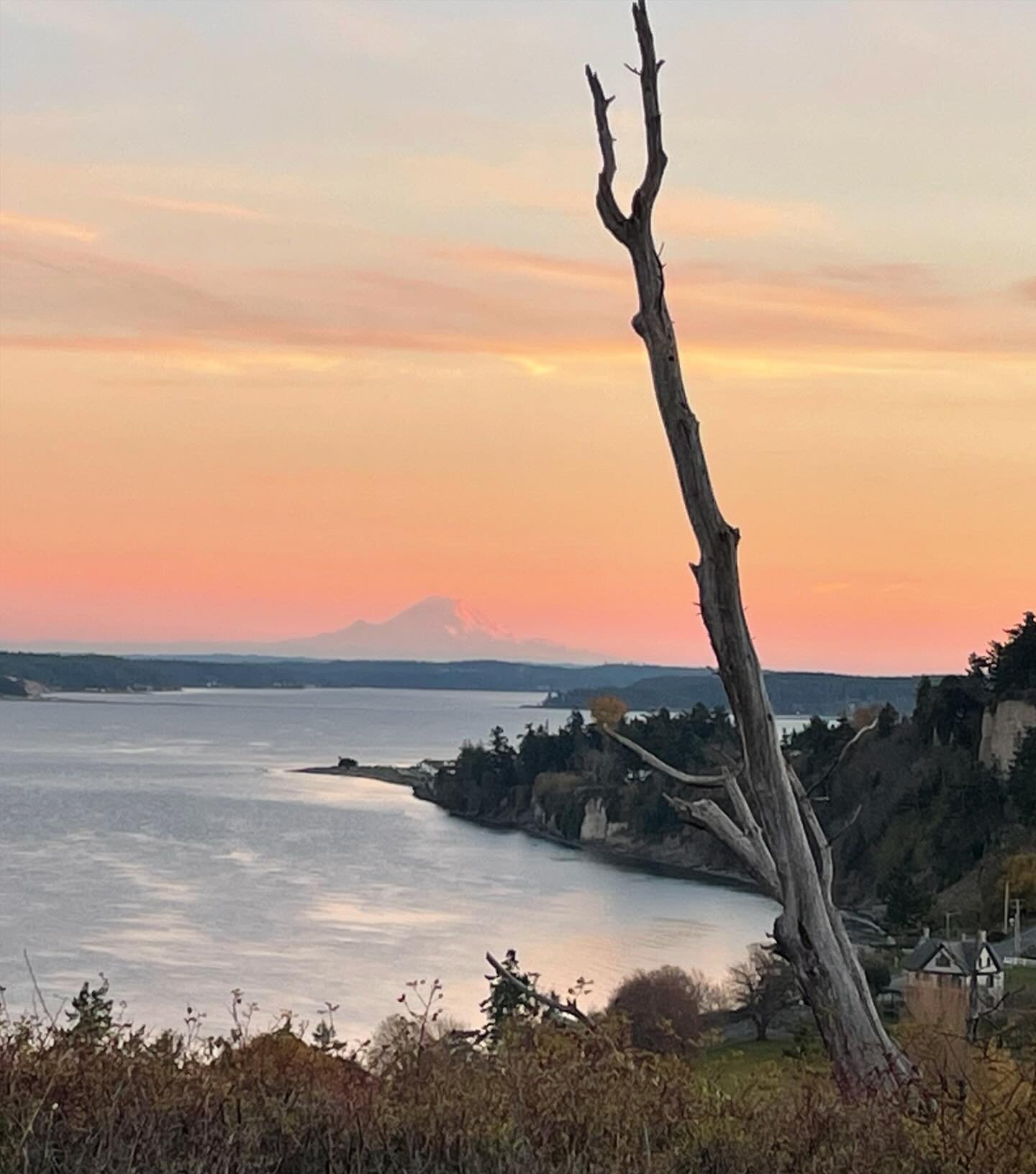 Sunset
Port Townsend to Mt Rainier 
#pacificnorthwest