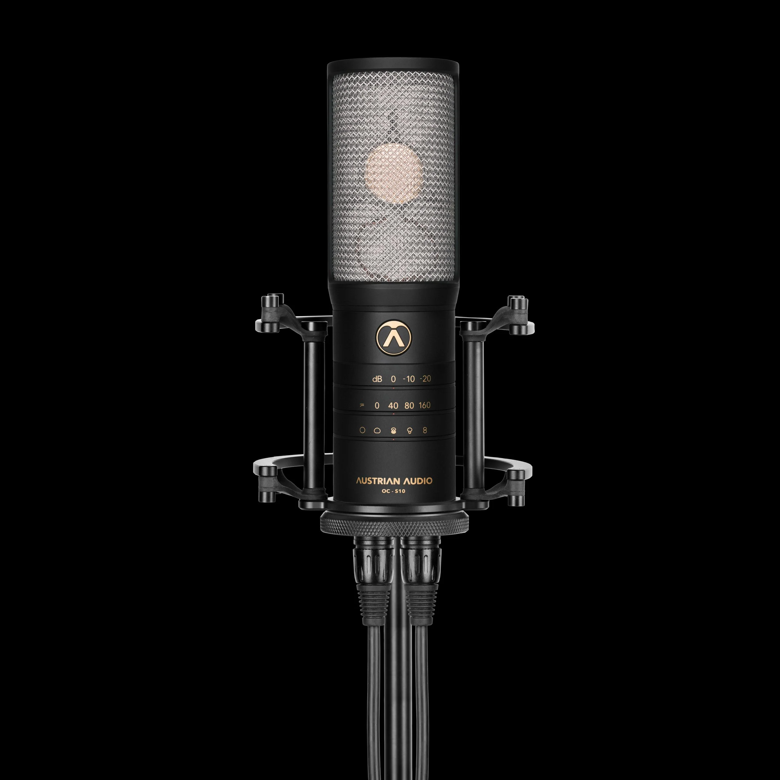 OC-S10_Mic_in_shockmount_on_stand_2_XLR_cables_black_6000px.jpg