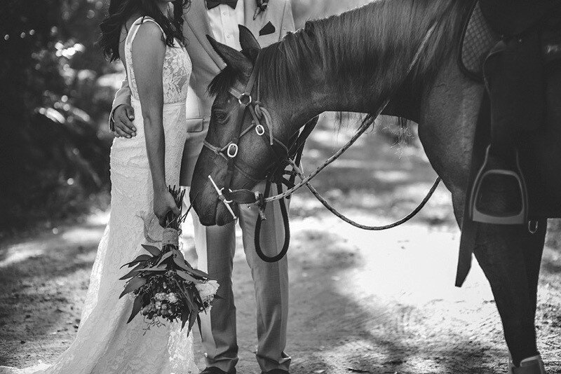 Saddle Up Fancy and free weddings elopement package noosa Natalie Skye Celebrant Sunshine Coast.jpg