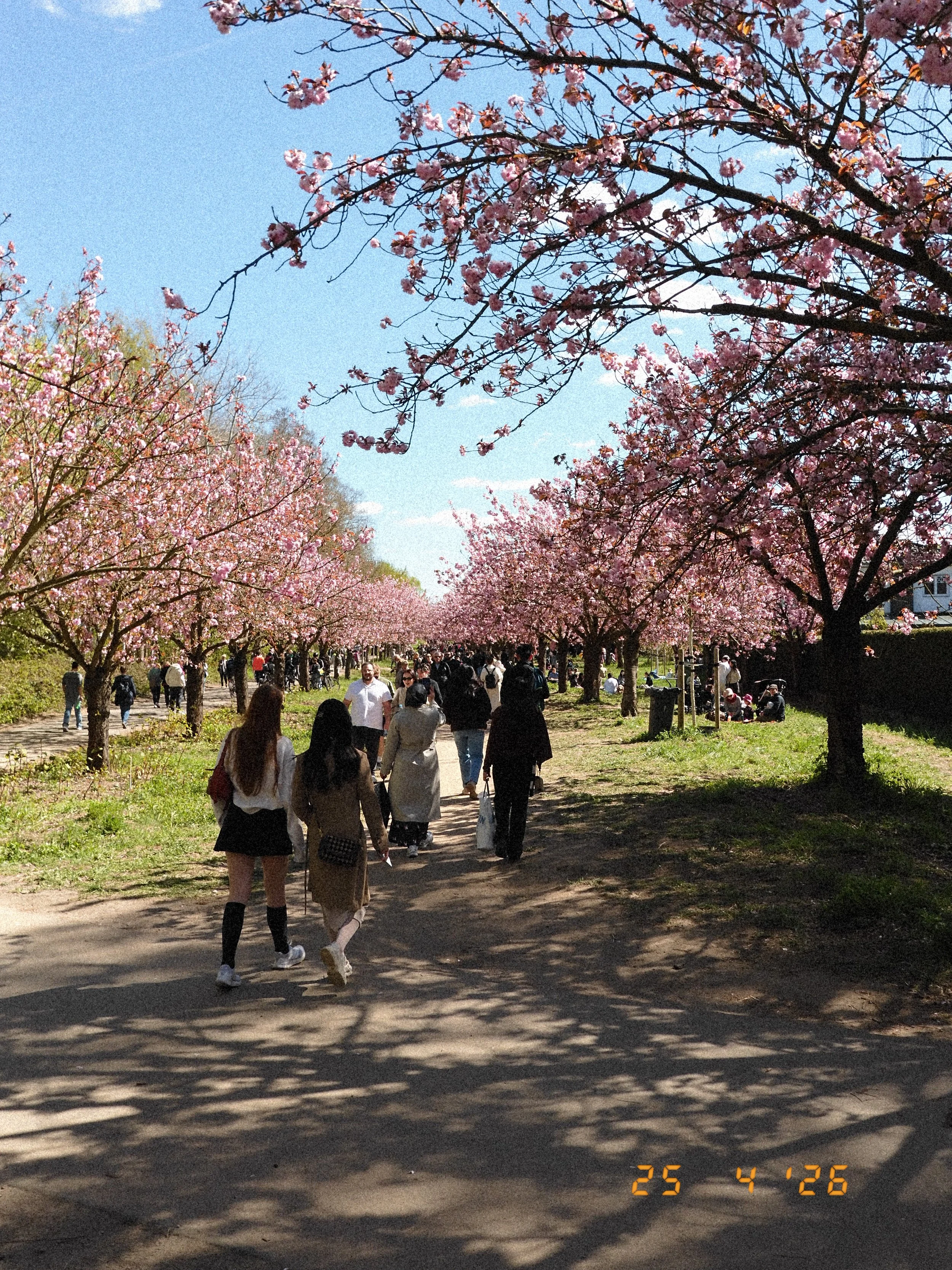 DSCF1868.JPG