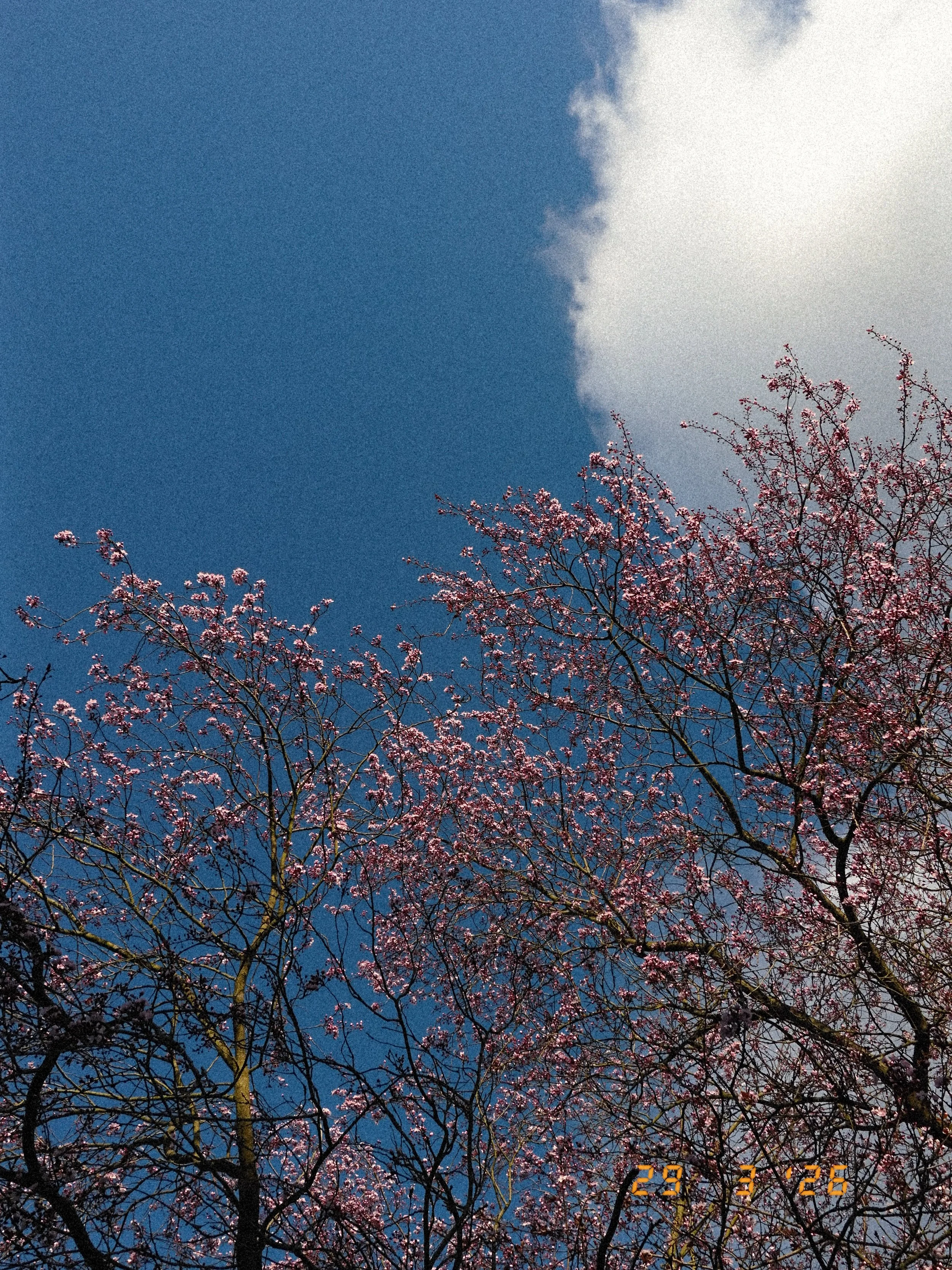 DSCF1621.JPG