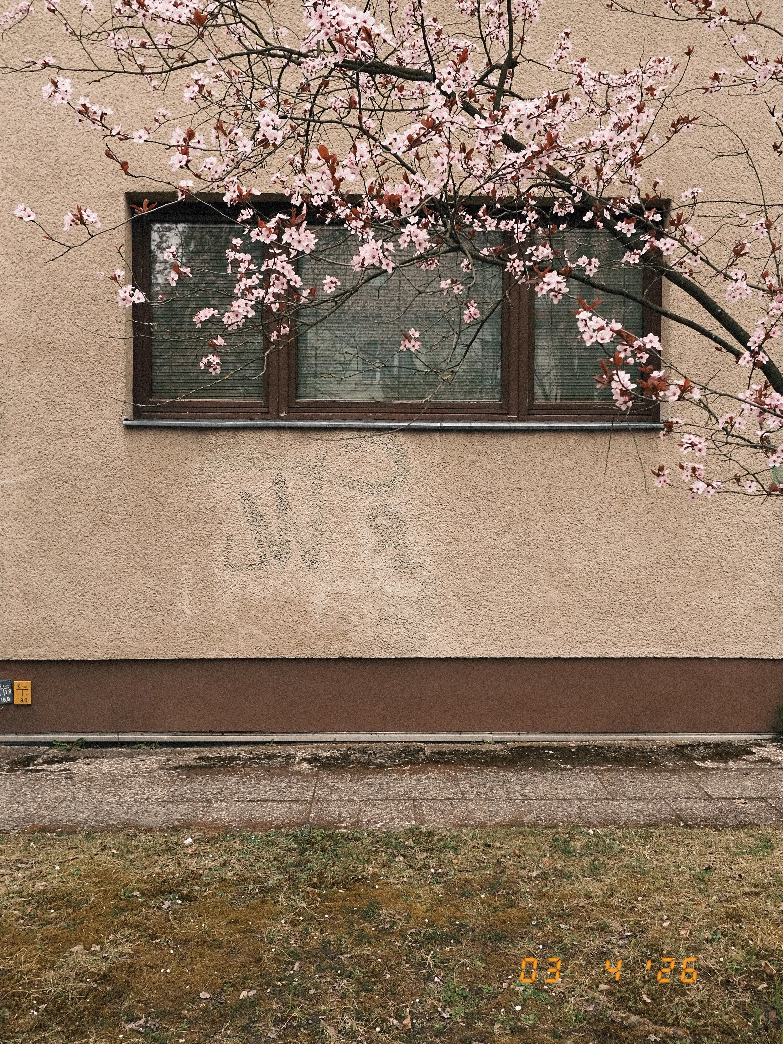 DSCF1688.JPG
