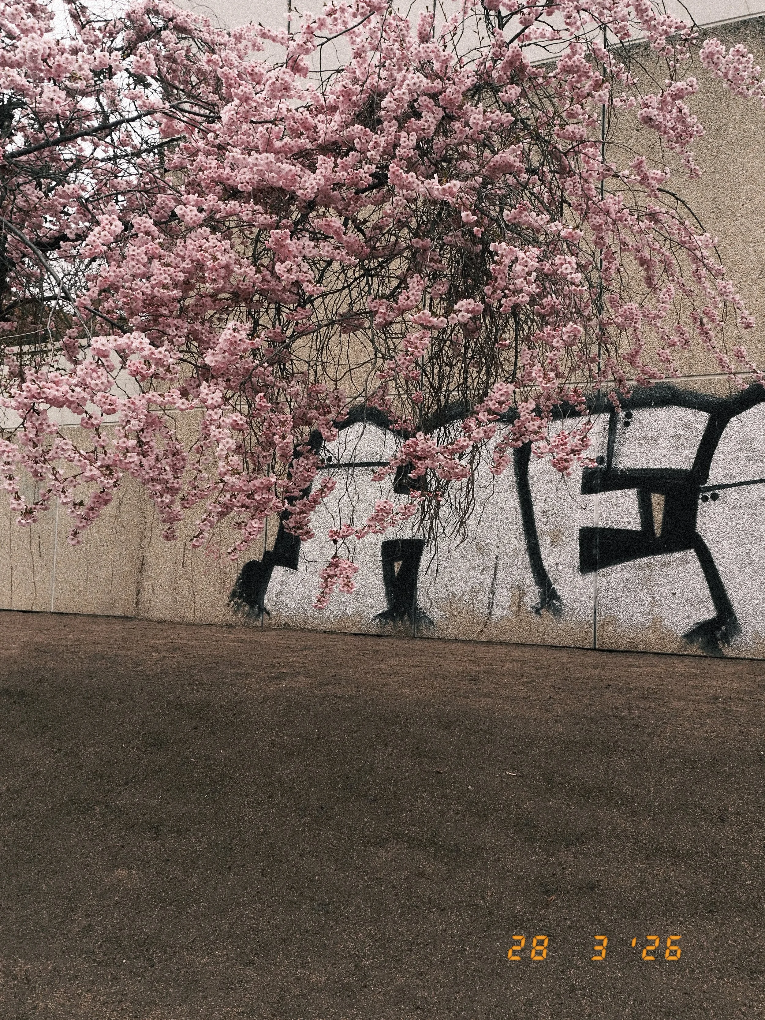 DSCF1619.JPG