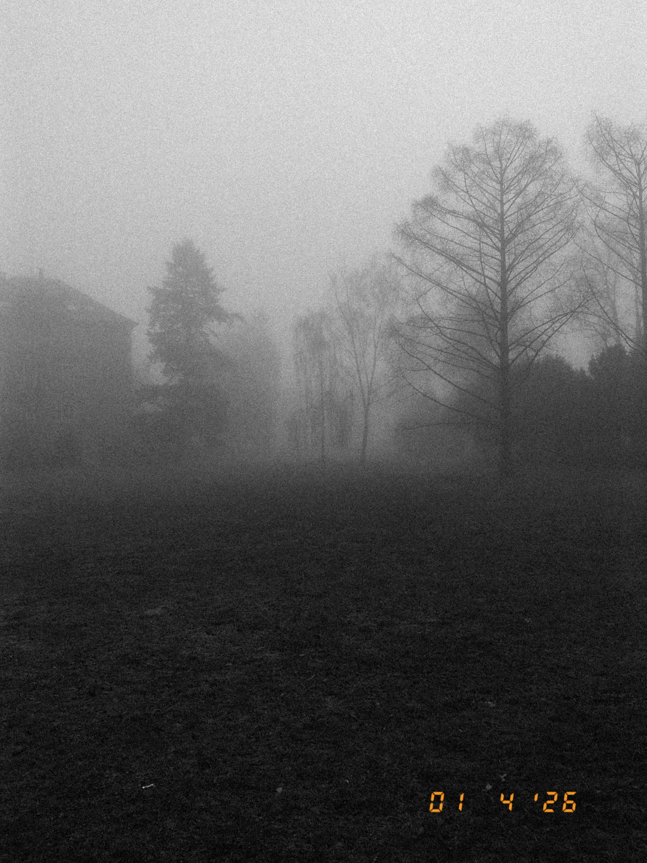 DSCF1674.JPG