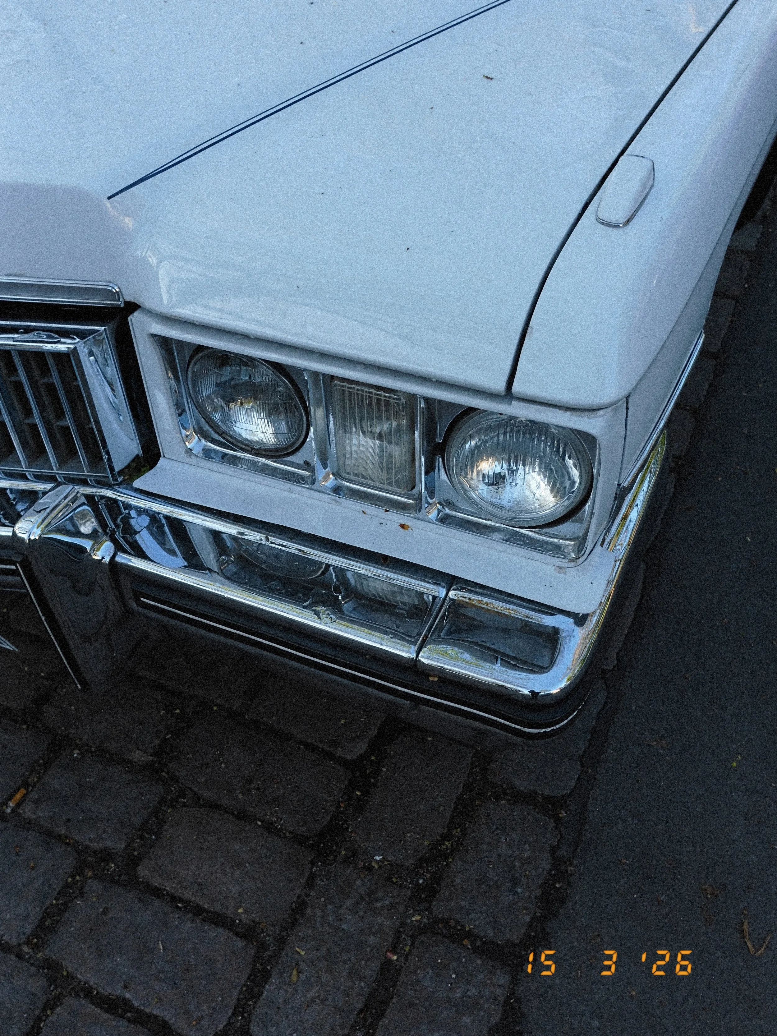 DSCF1390.JPG