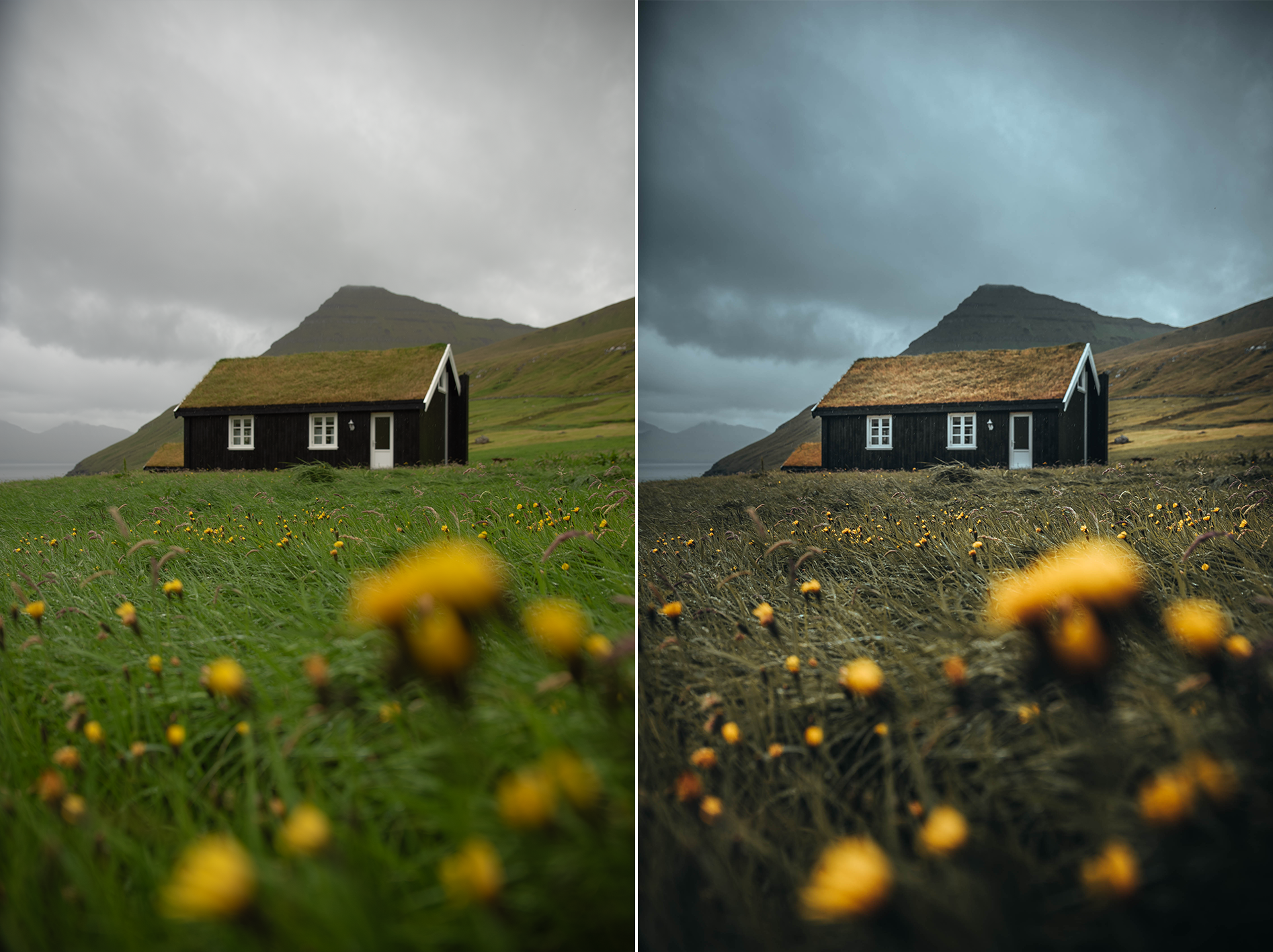 Landscape 3.png