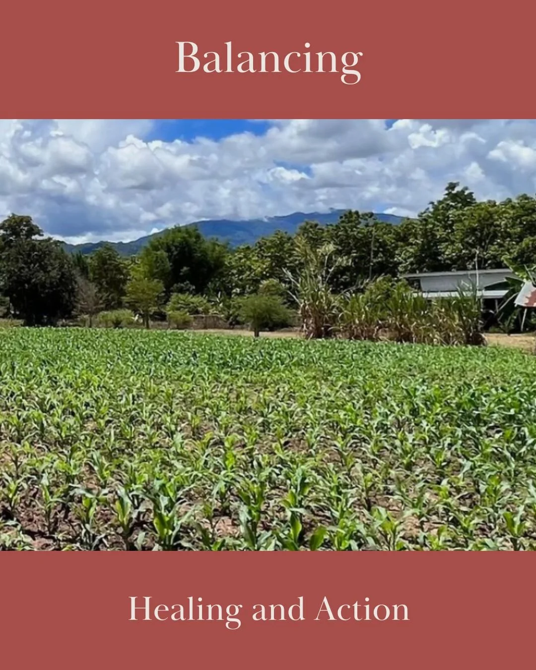 Acceptance and Change: The Balance Between Healing and Action for Meaningful Growth