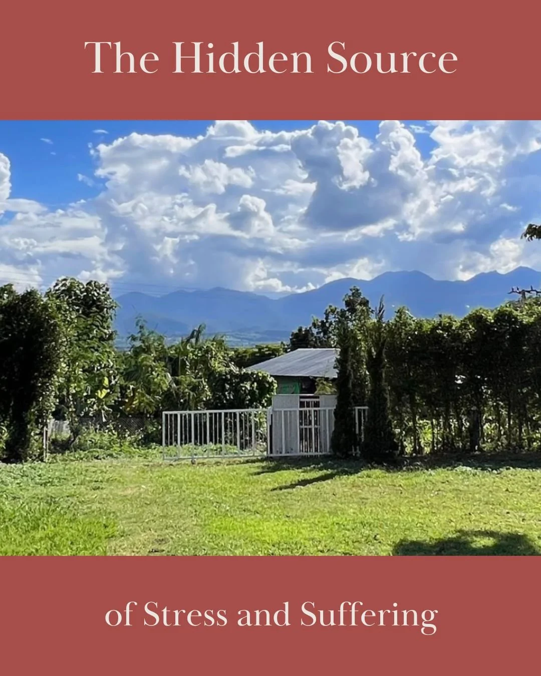 How Letting Go of Resistance Reduces Suffering and Creates Peace
