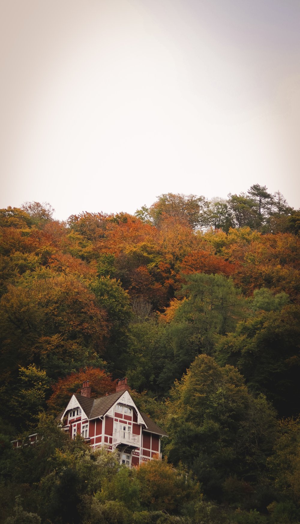 travel-tonic-new-client-win-wye-valley-forest-of-dean-symonds-yat.jpg