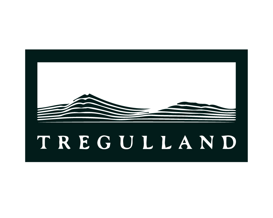 travel-tonic-client-tregulland.png