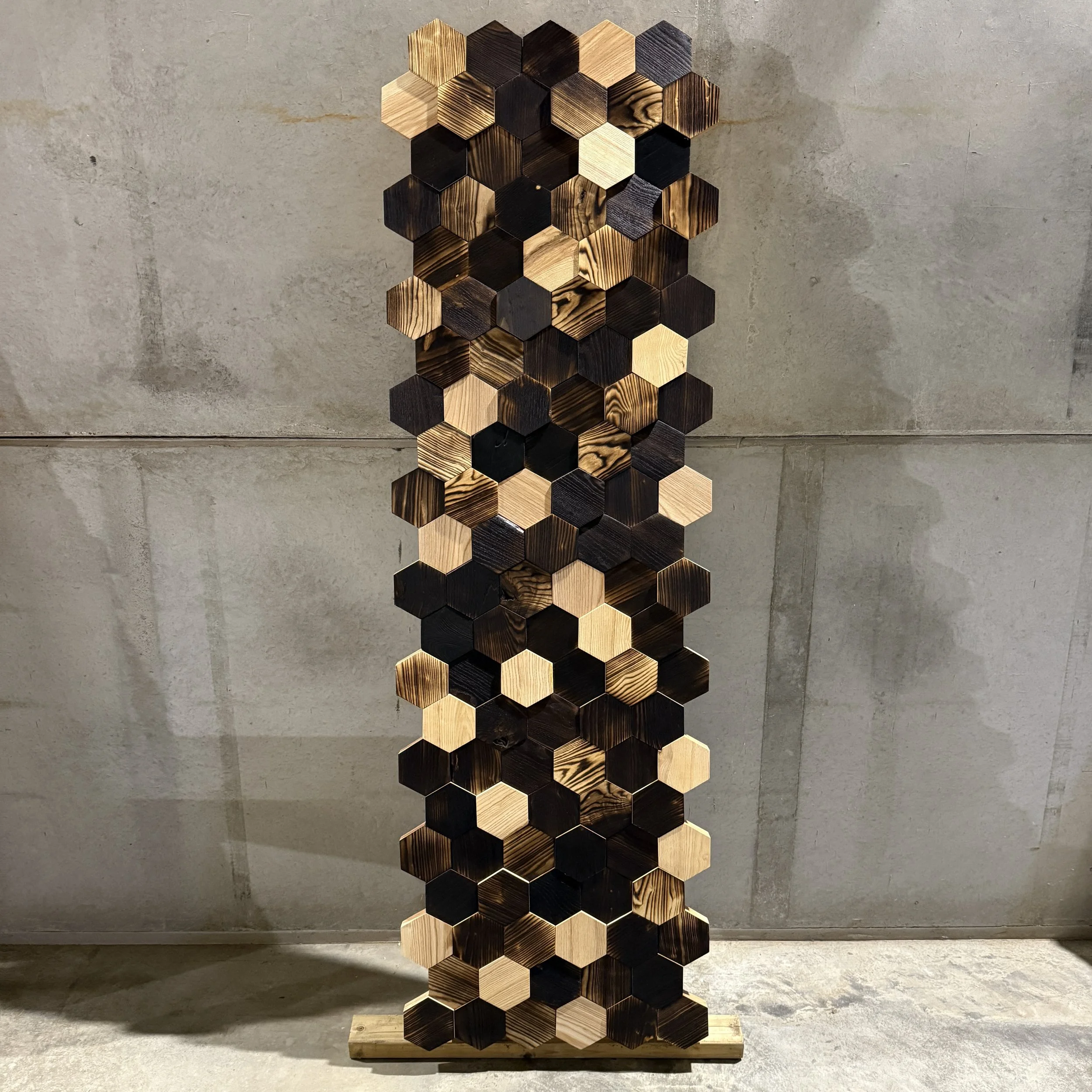 Decorative hexagon wall panel