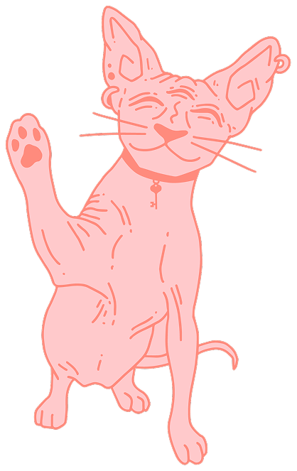A cartoon pink cat with a necklace featuring a key pendant, raising its left paw and smiling.