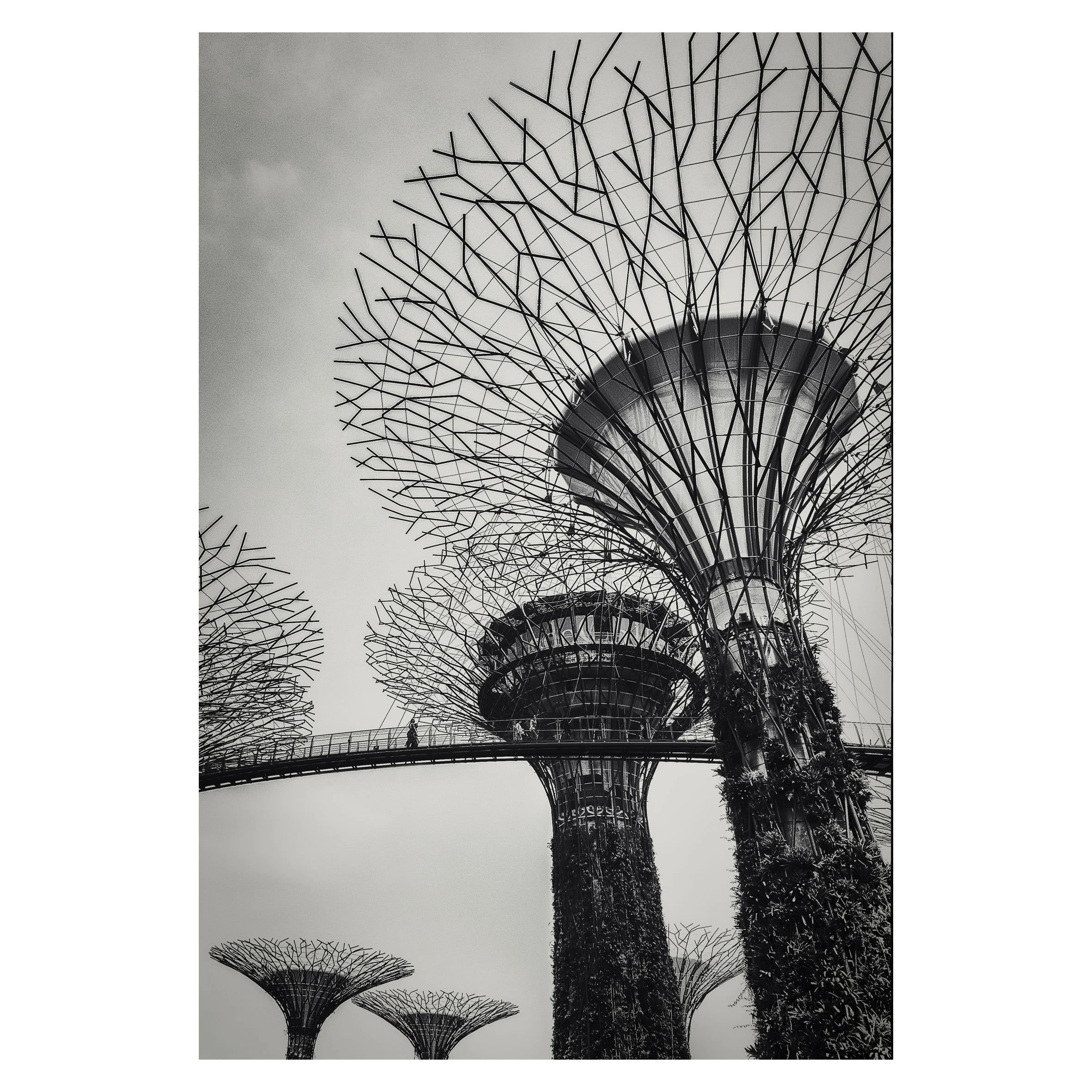 SPC - Singapore #3