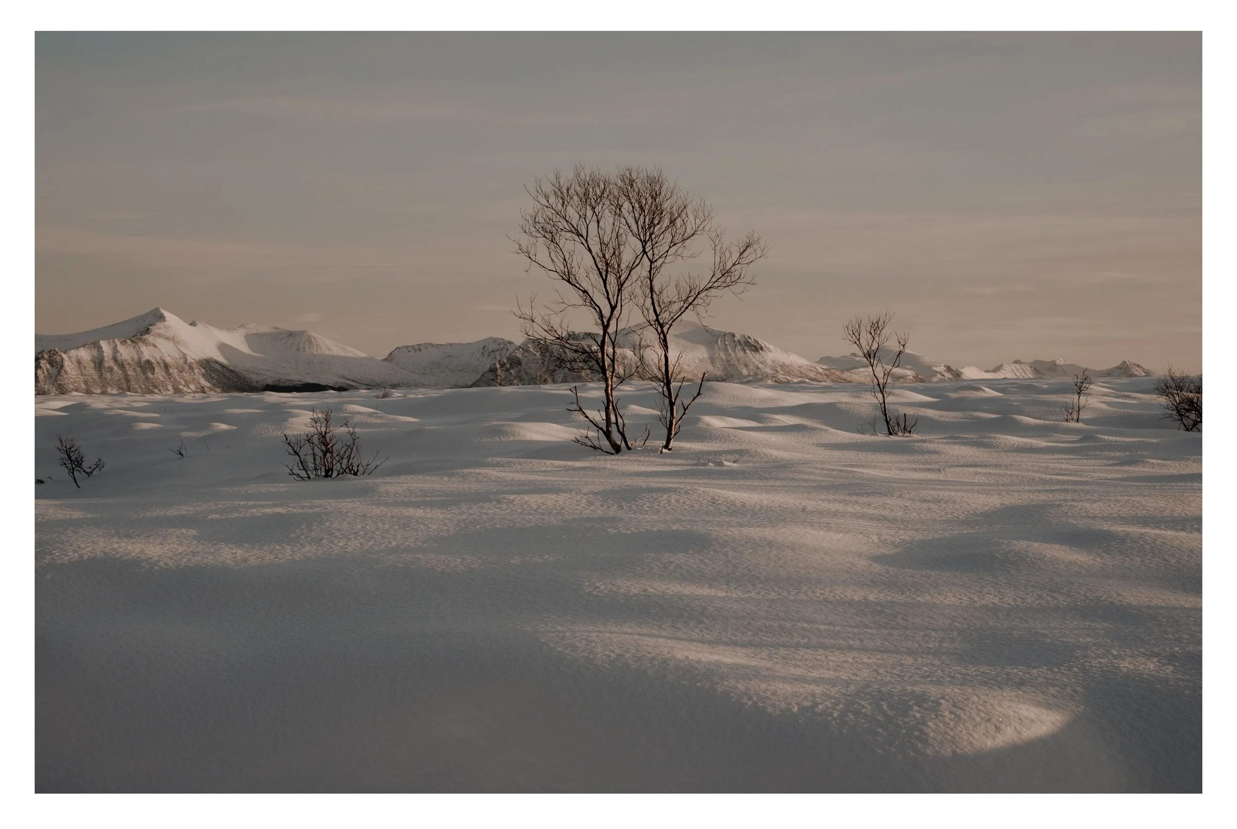Norway Landscape I