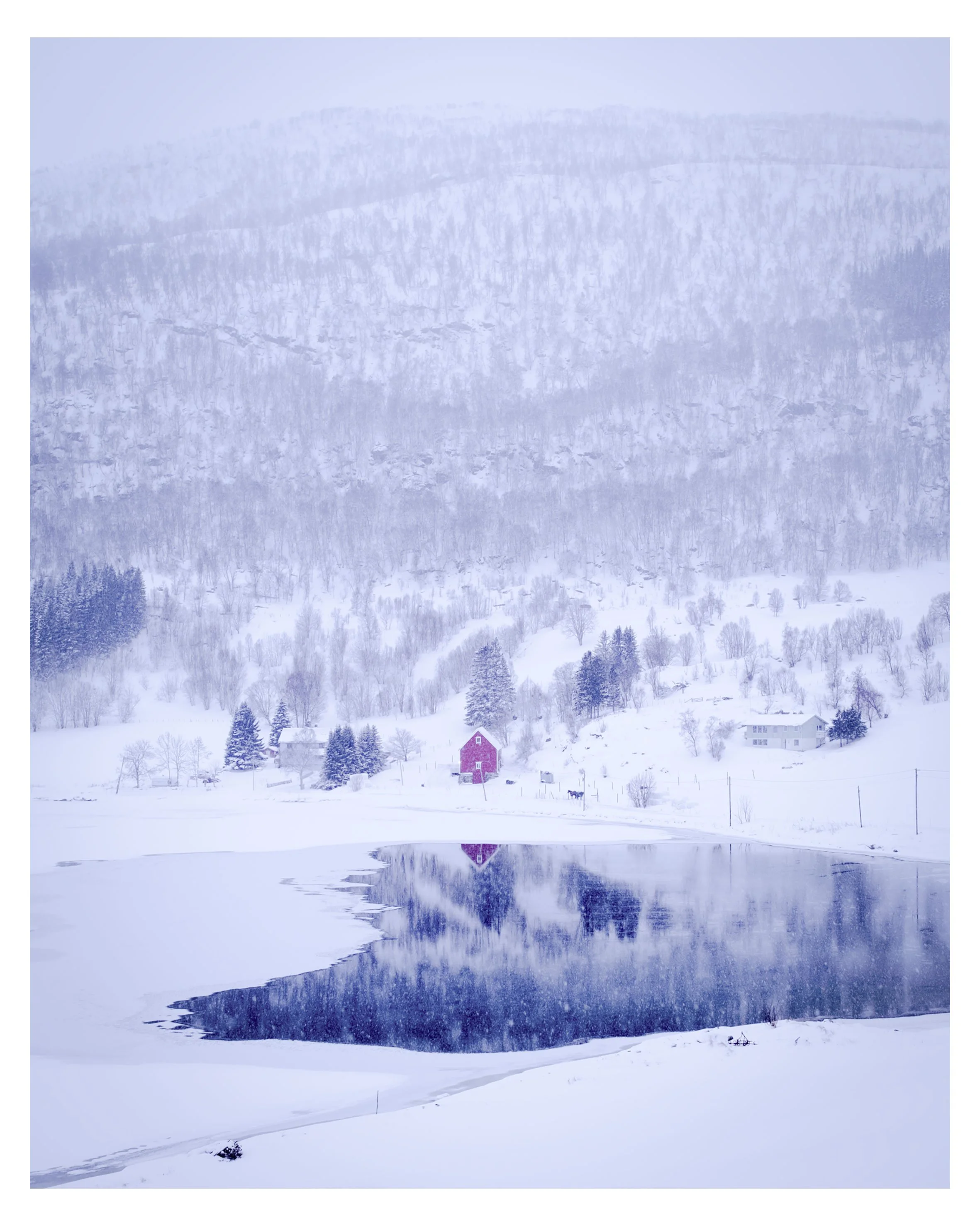 ©OBS-Red-House-20x25.jpg