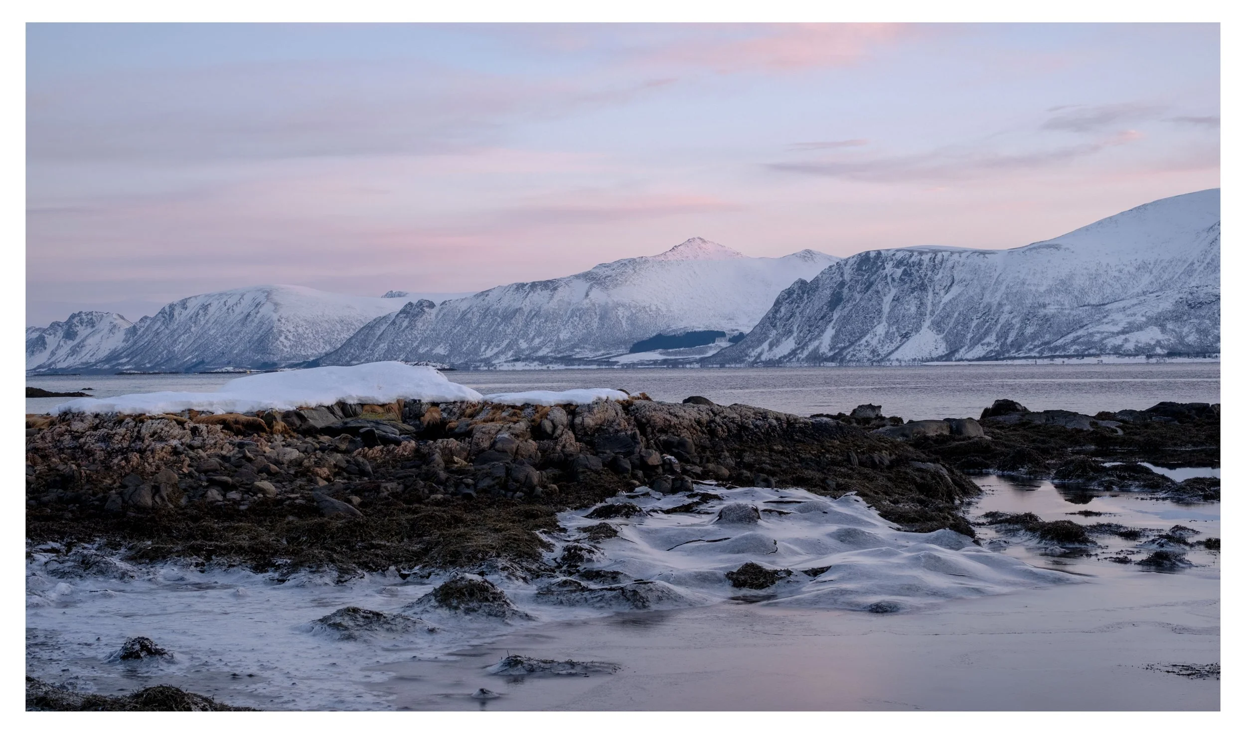 ©OBS-Norway-landscape-II.jpg