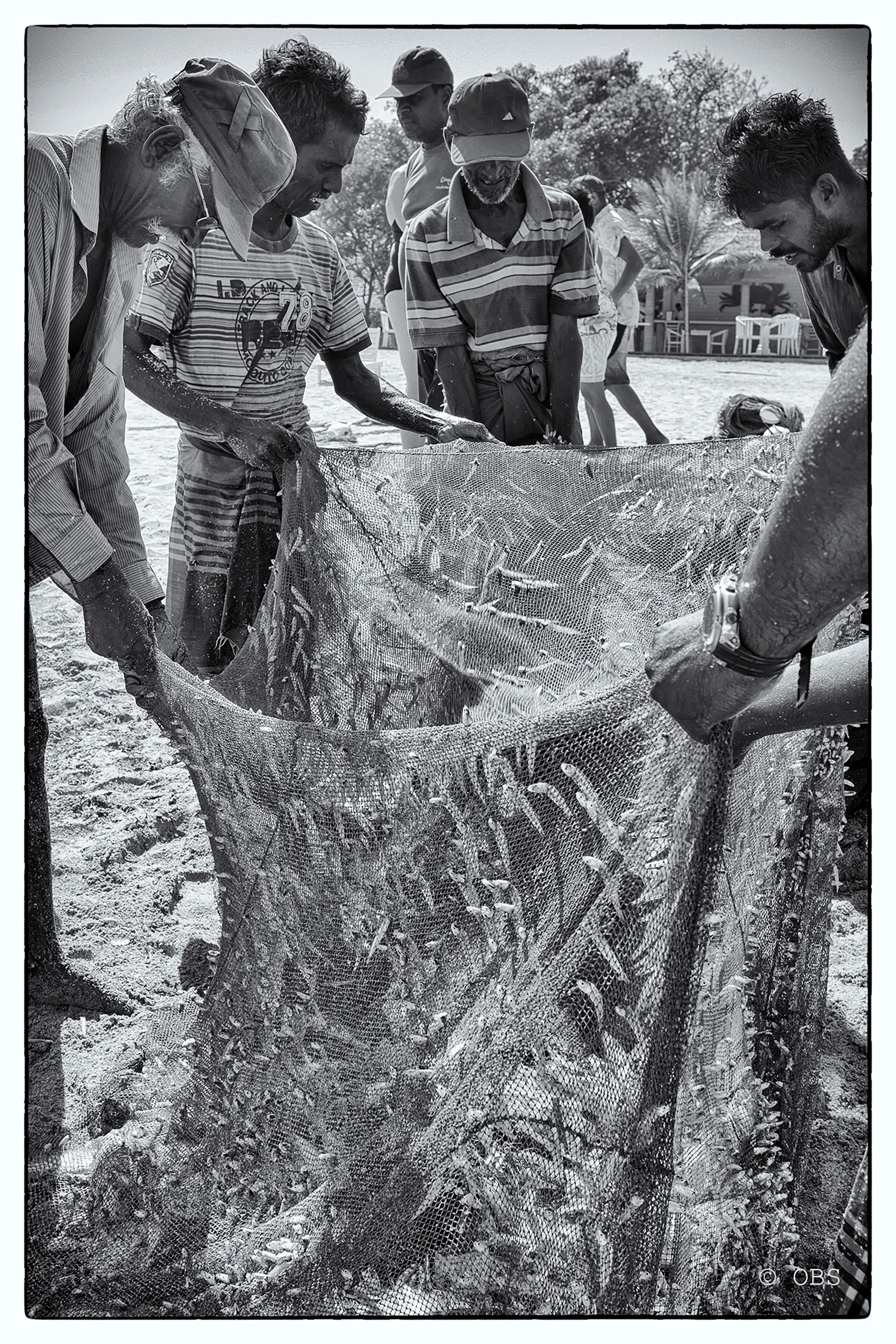 ©-OBS7287-B&W.jpg