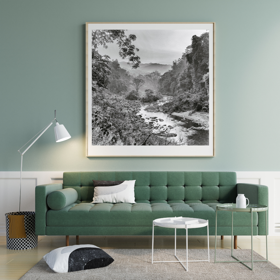 OBS  - Instagram.png