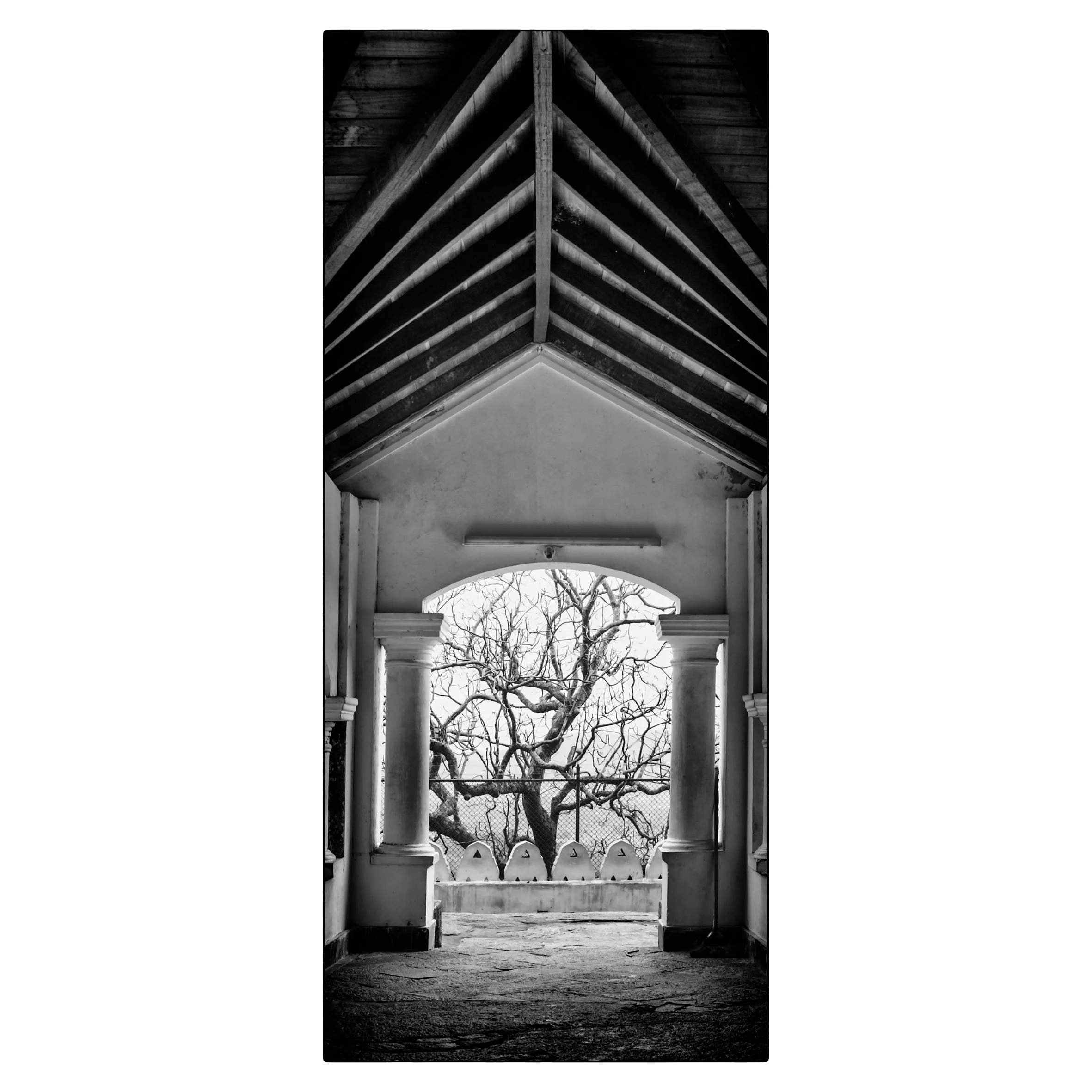 SPC ©OBS-Dambulla.jpg