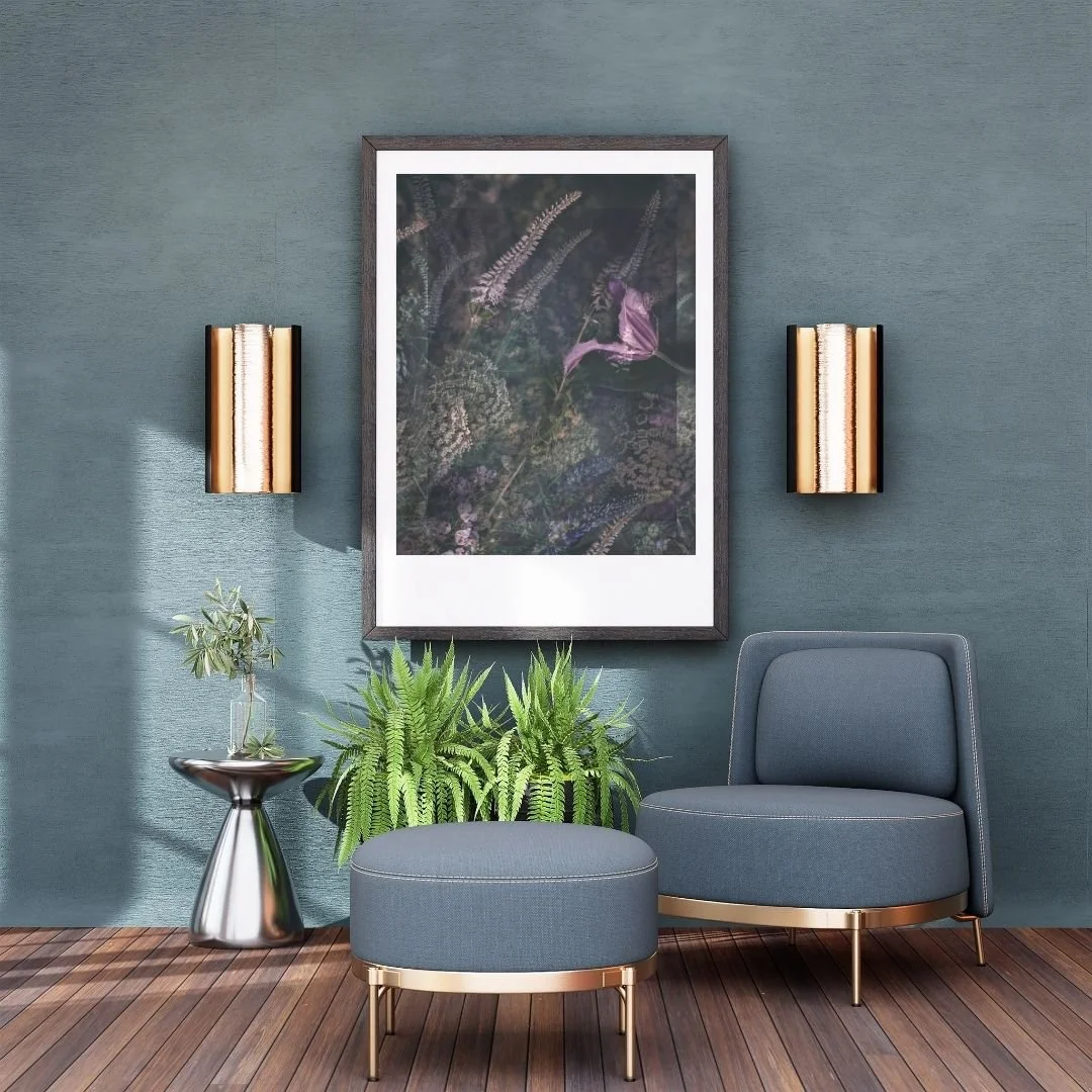 OBS  - Instagram6.jpg