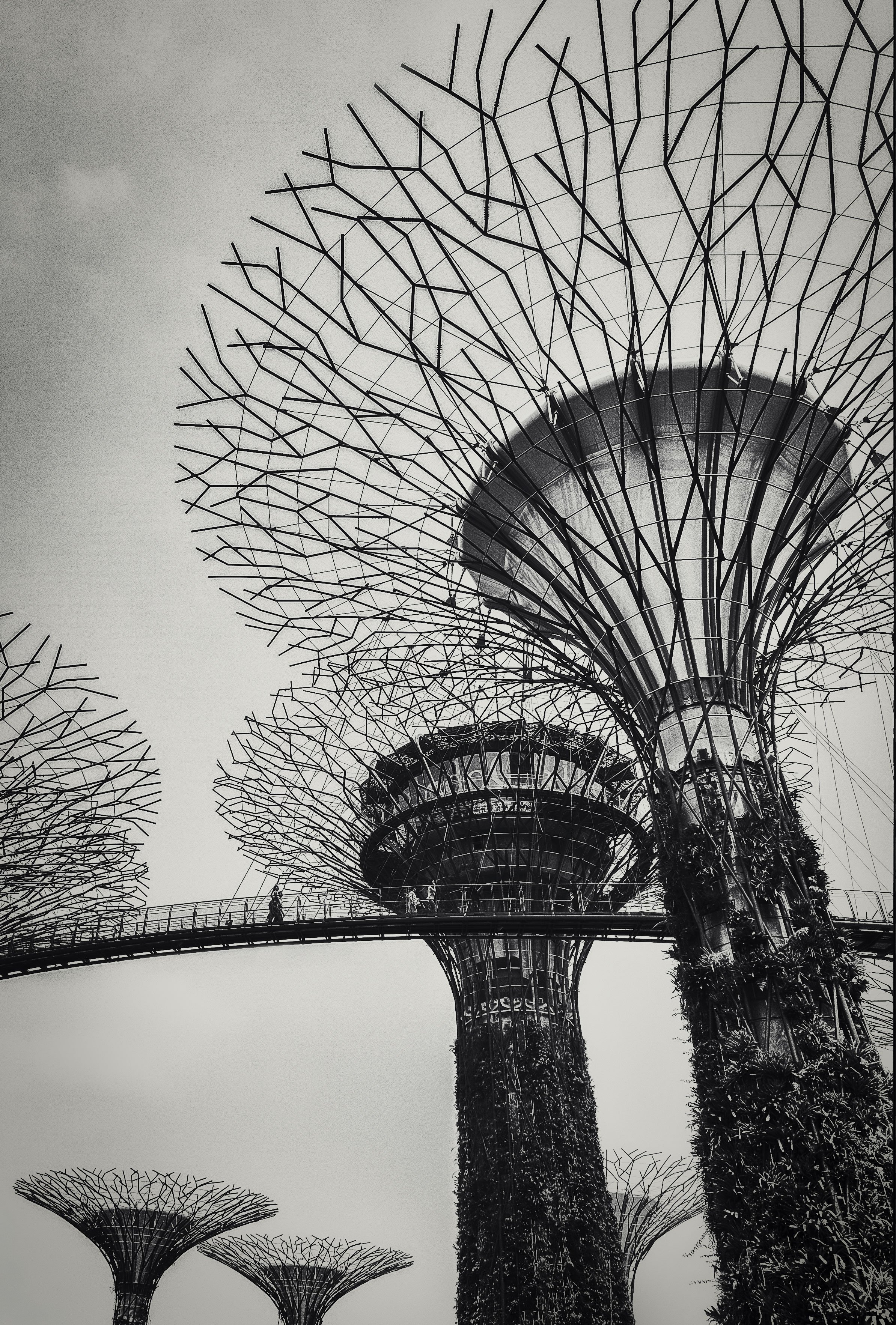 Singapore #3