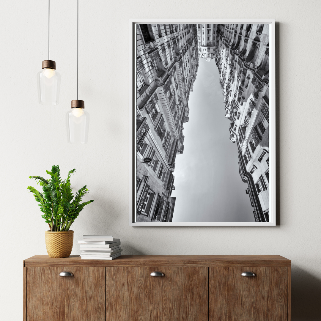 OBS  - Instagram2.png