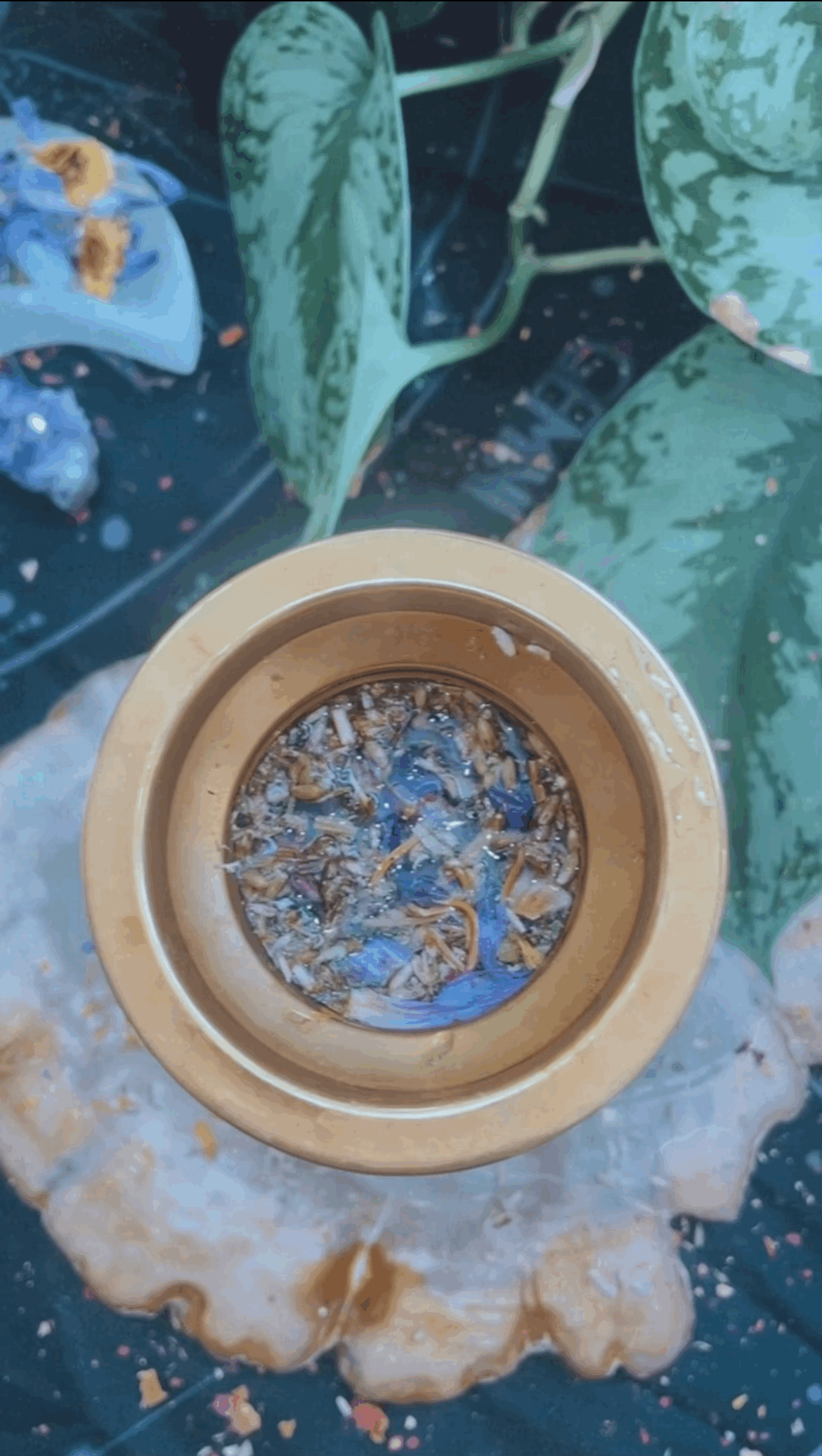 tempImageXuwI9i.gif