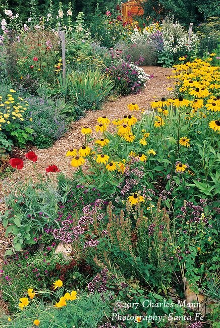 xeriscape - waterwise - mediteranean.jpg