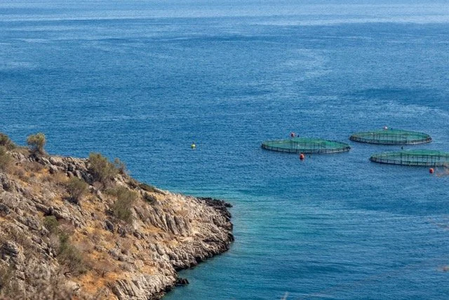 Ισχυρή υποστήριξη από την Υπουργό Τουρισμού στη Φωκίδα. Παρεμβαίνει στη διαβούλευση για την ανάπτυξη ιχθυοκαλλιεργειών.