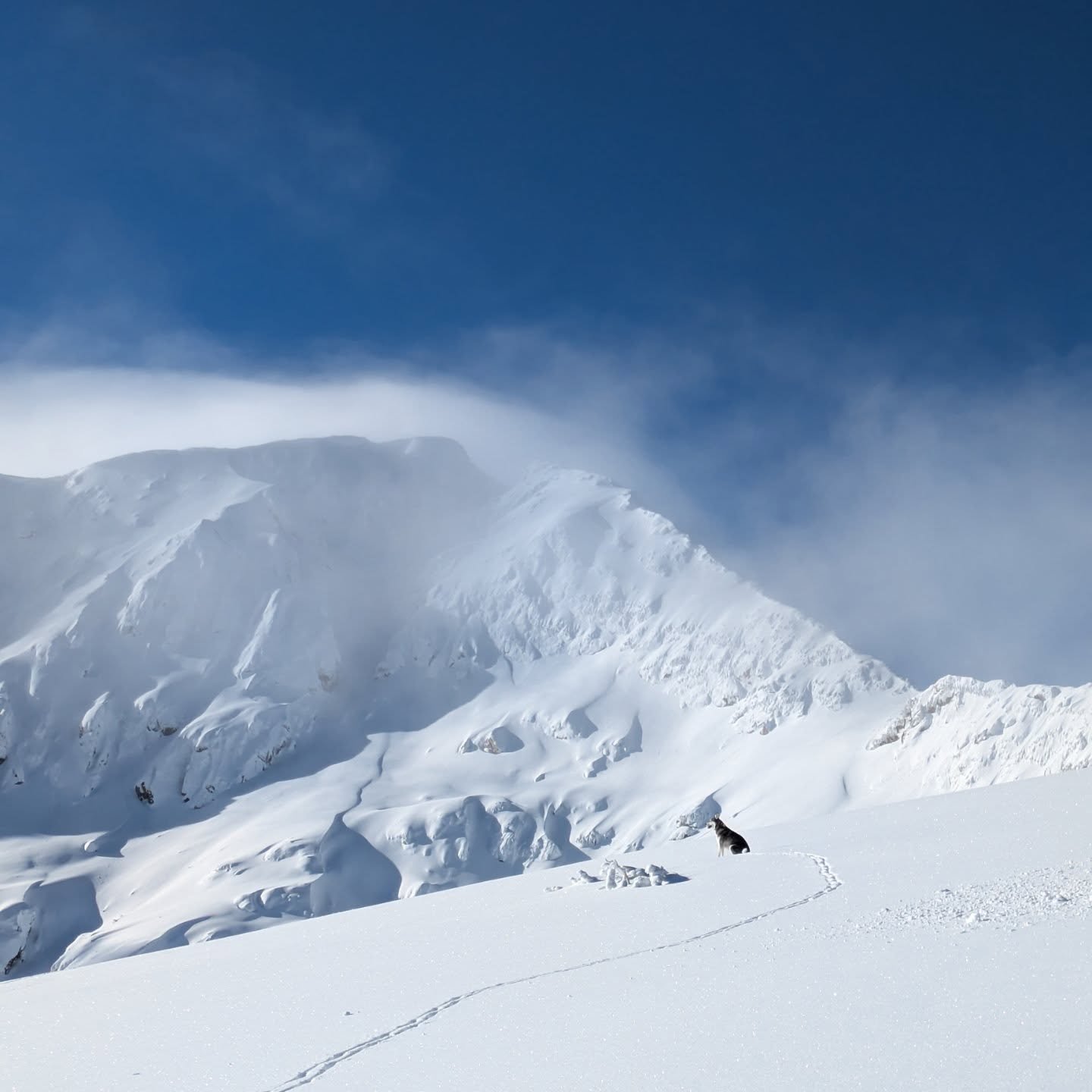 Winters here ❄️ 

Hope everyone is enjoying some downtime over Christmas. Big things incoming in the New Year, for now, a few mellow shots from December in the Pirin.

.
.
.
.
.
#mountainlife #freeride #outthepark