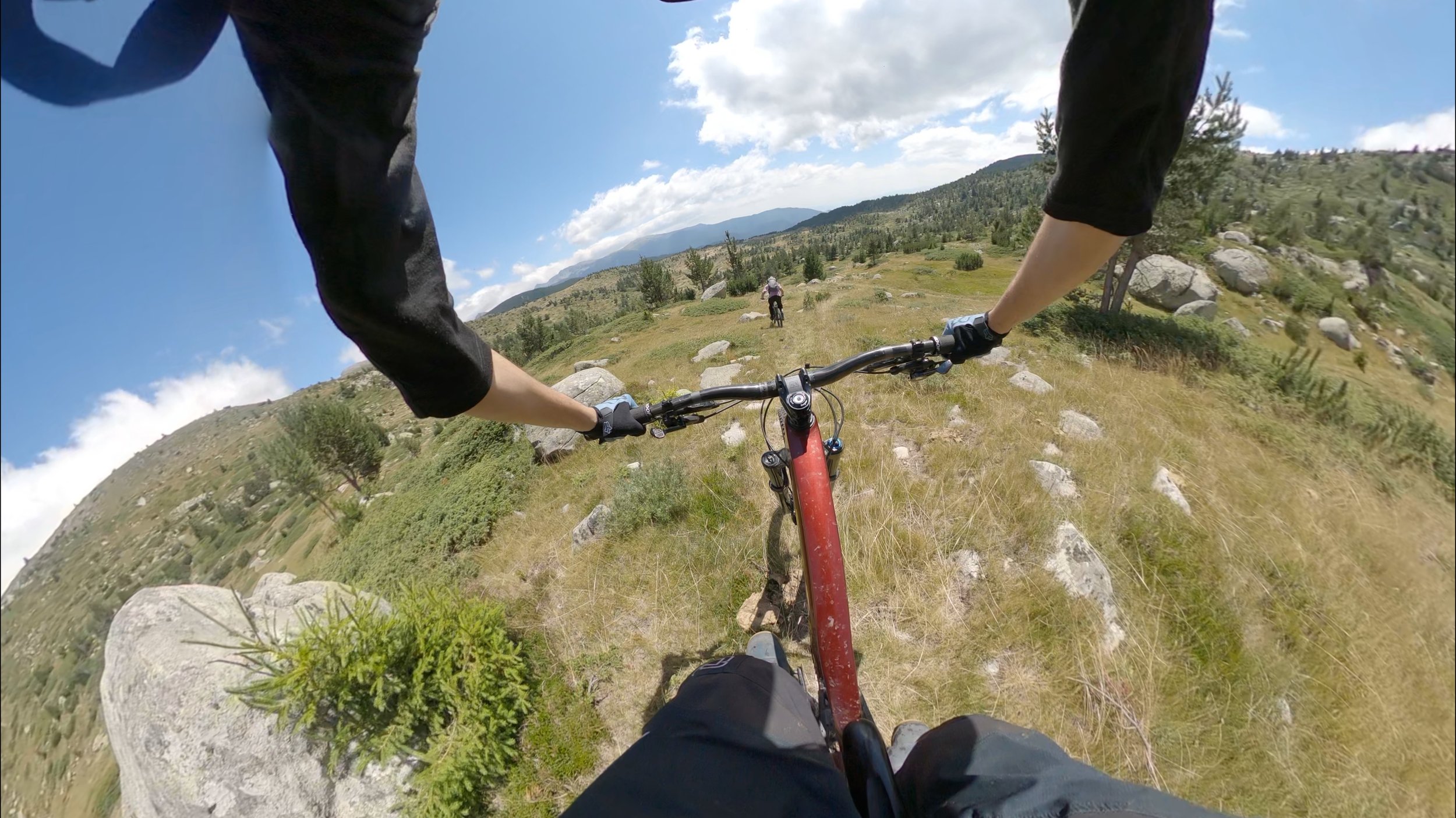 MeadowRide.jpeg