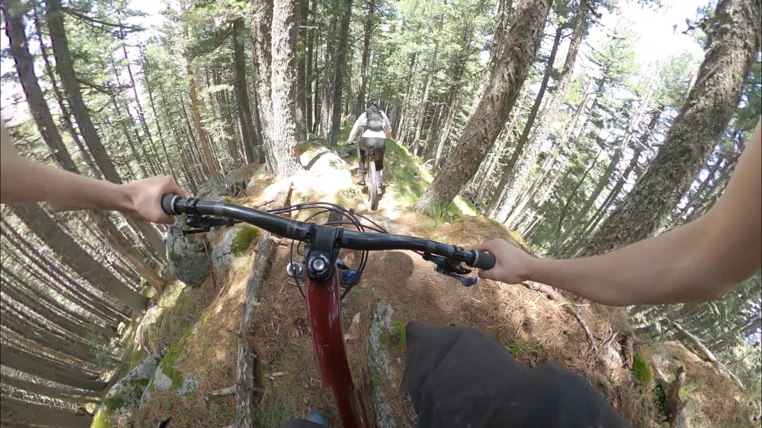 RidgelineOcks.jpeg