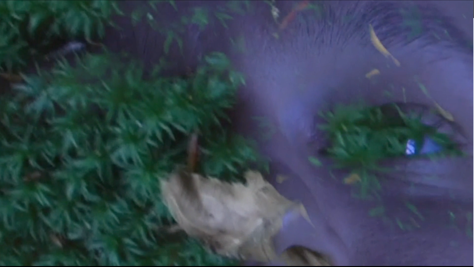 Screen Shot 2023-11-27 at 11.27.59 AM.png