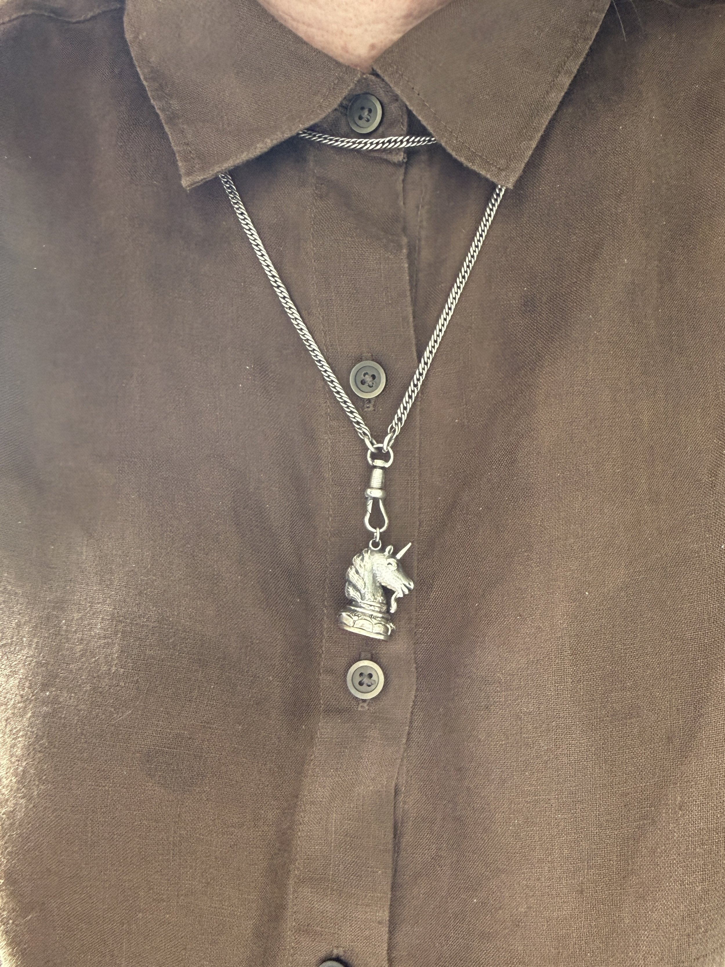 BVL1254-silver-horse-carnelian-seal-worn.jpg