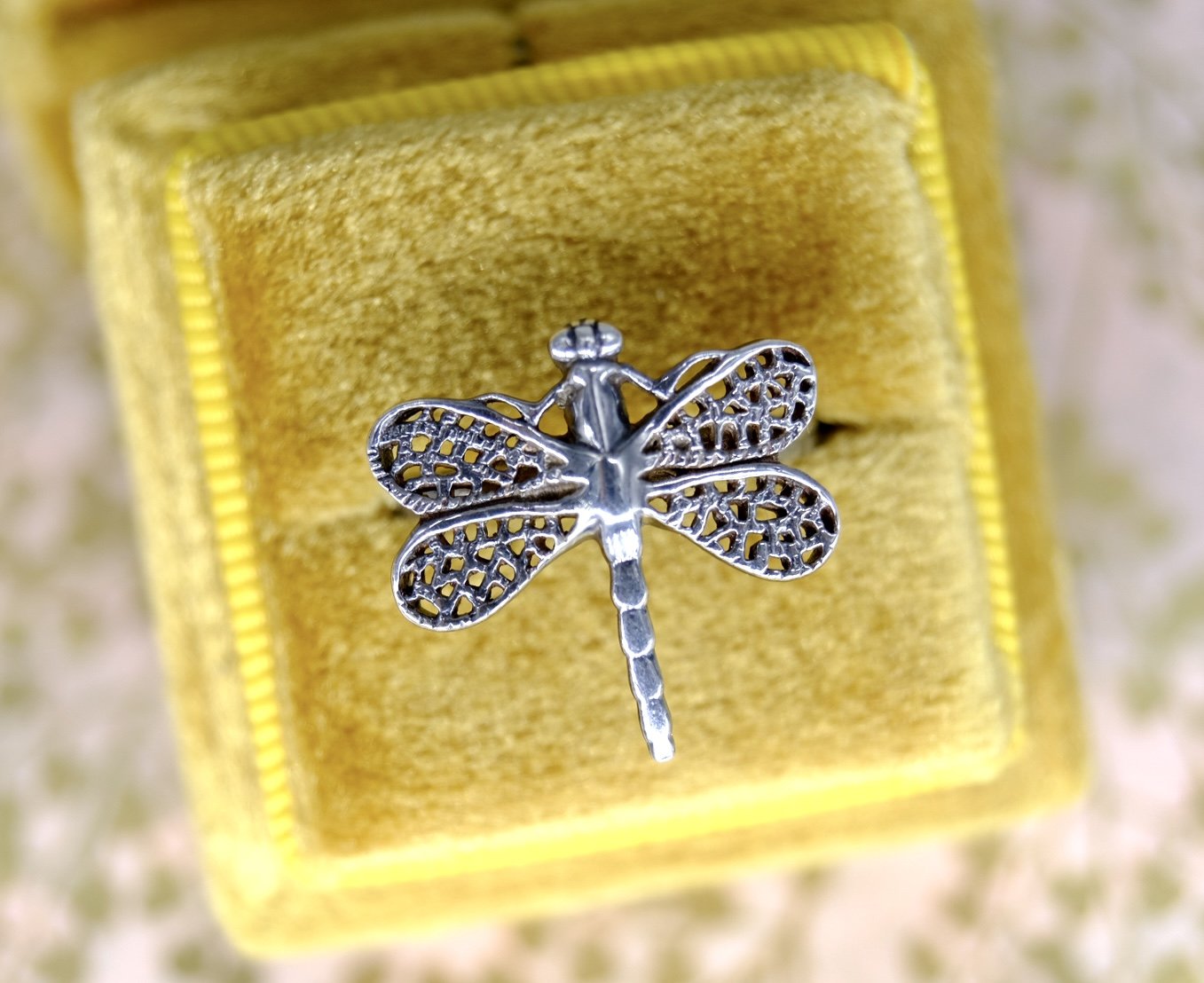 BVL663 dragonfly box.jpg