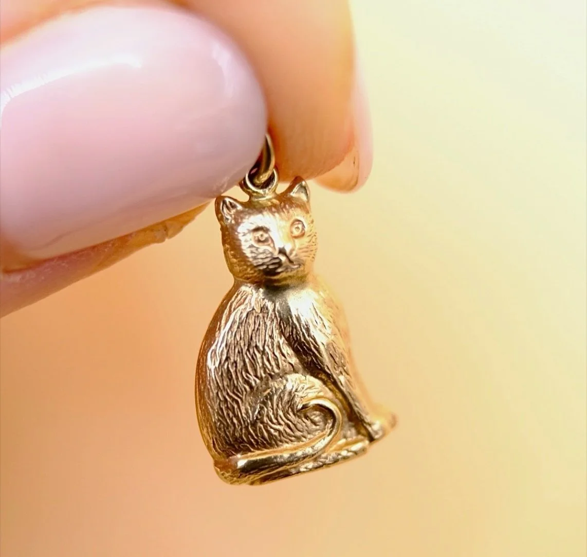 A poody cat patiently waiting for something to happen 🐈