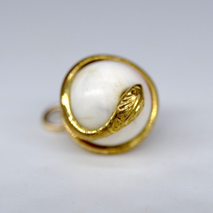 BVL711 coiled snake orb close.jpg