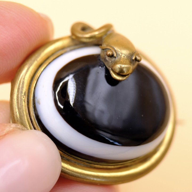 BVL869-banded-agate-snak-brooch-held.jpg