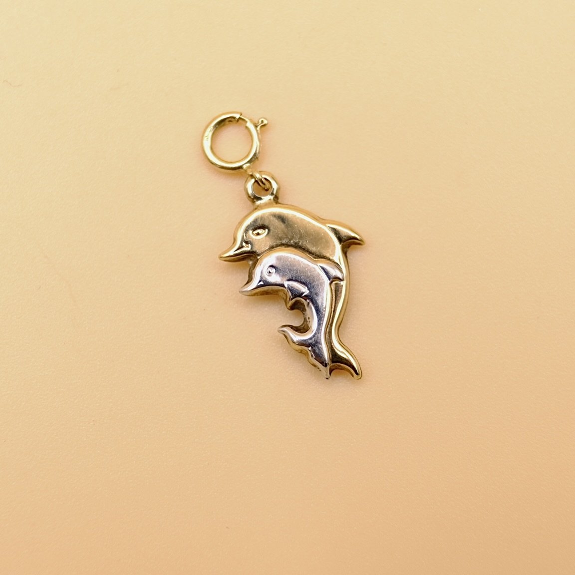 BVL1073-dolphins-charm-back.jpg