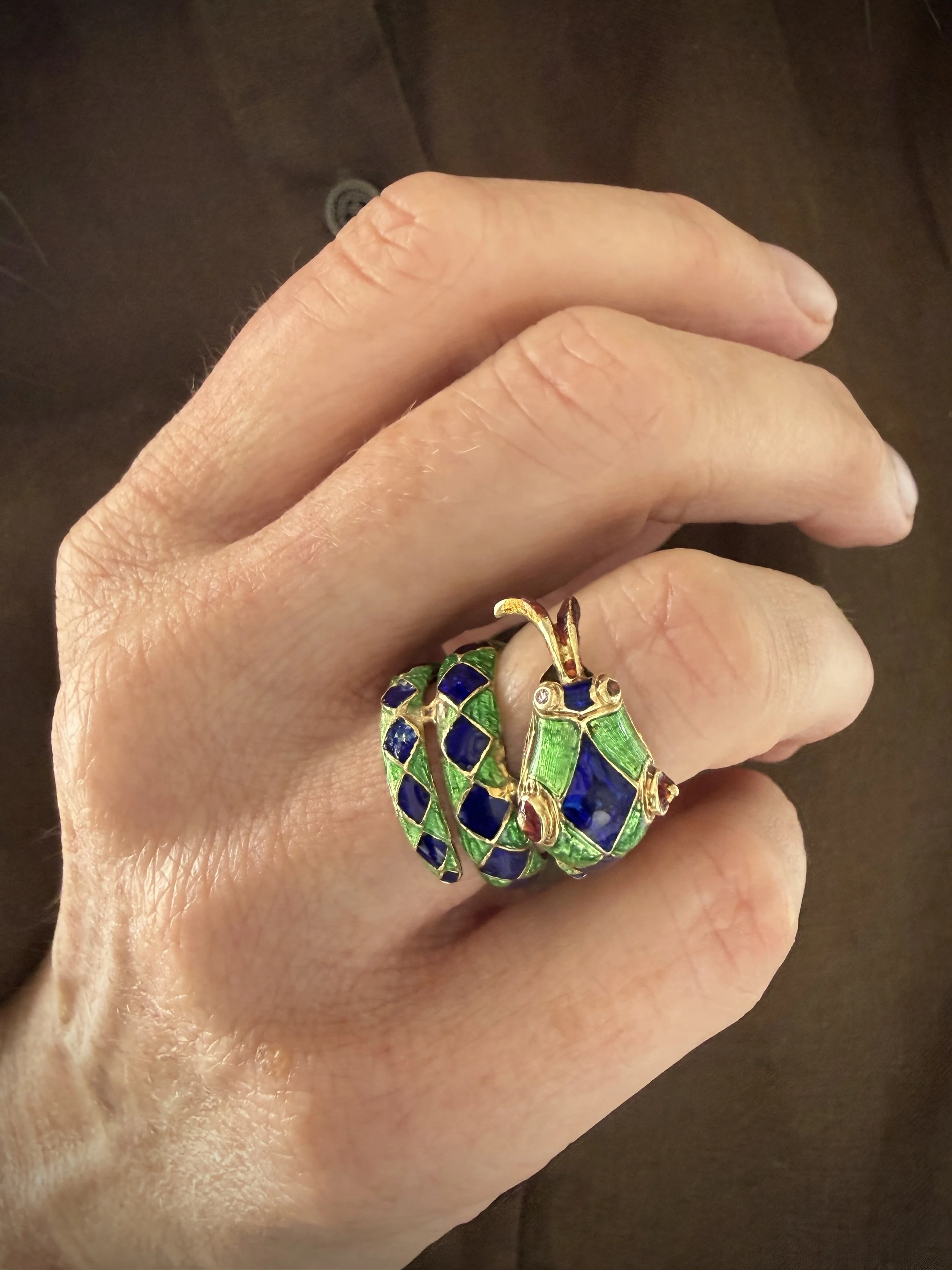 BVLtbc-enamel-coiled-snake-worn.jpg