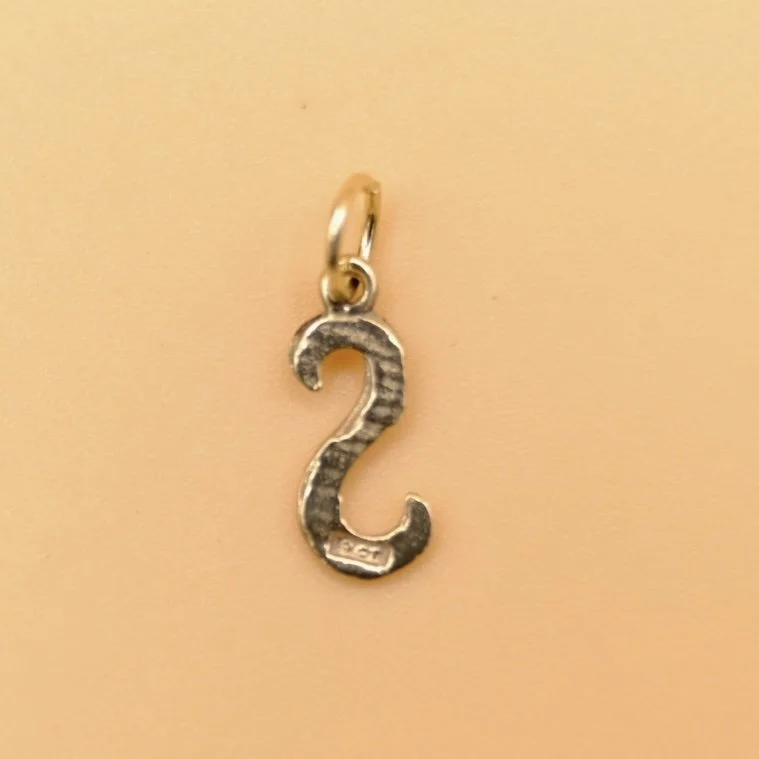 BVL1115-9ct-S-charm-back.jpg