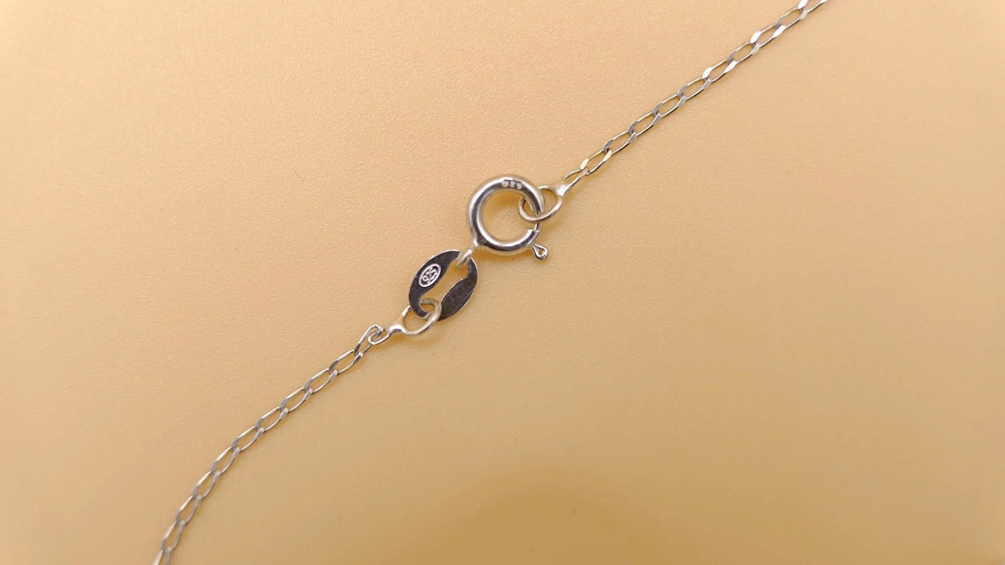 BVL383-paste-swallow-necklace-clasp.jpg