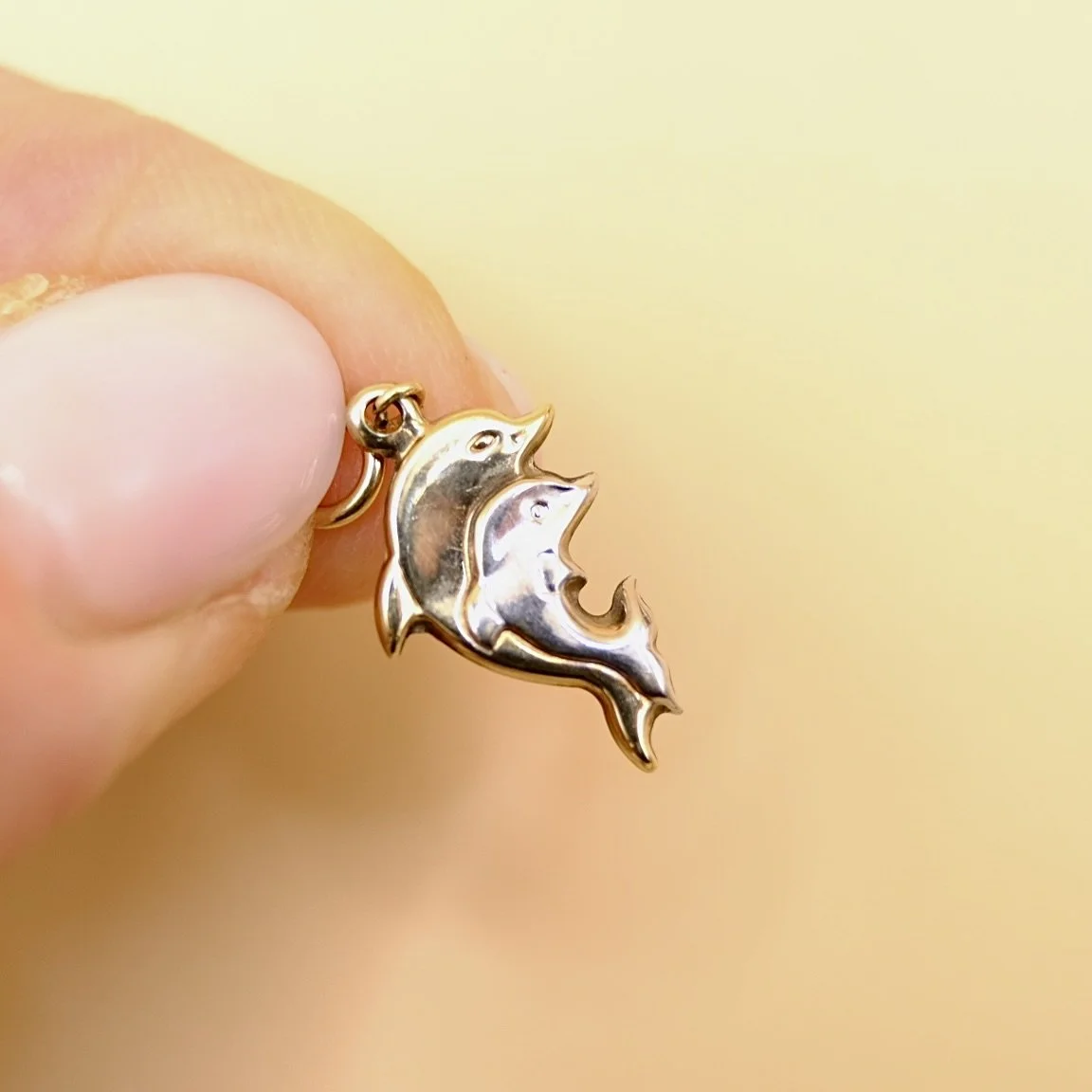 BVL1073-dolphins-charm-held.jpg