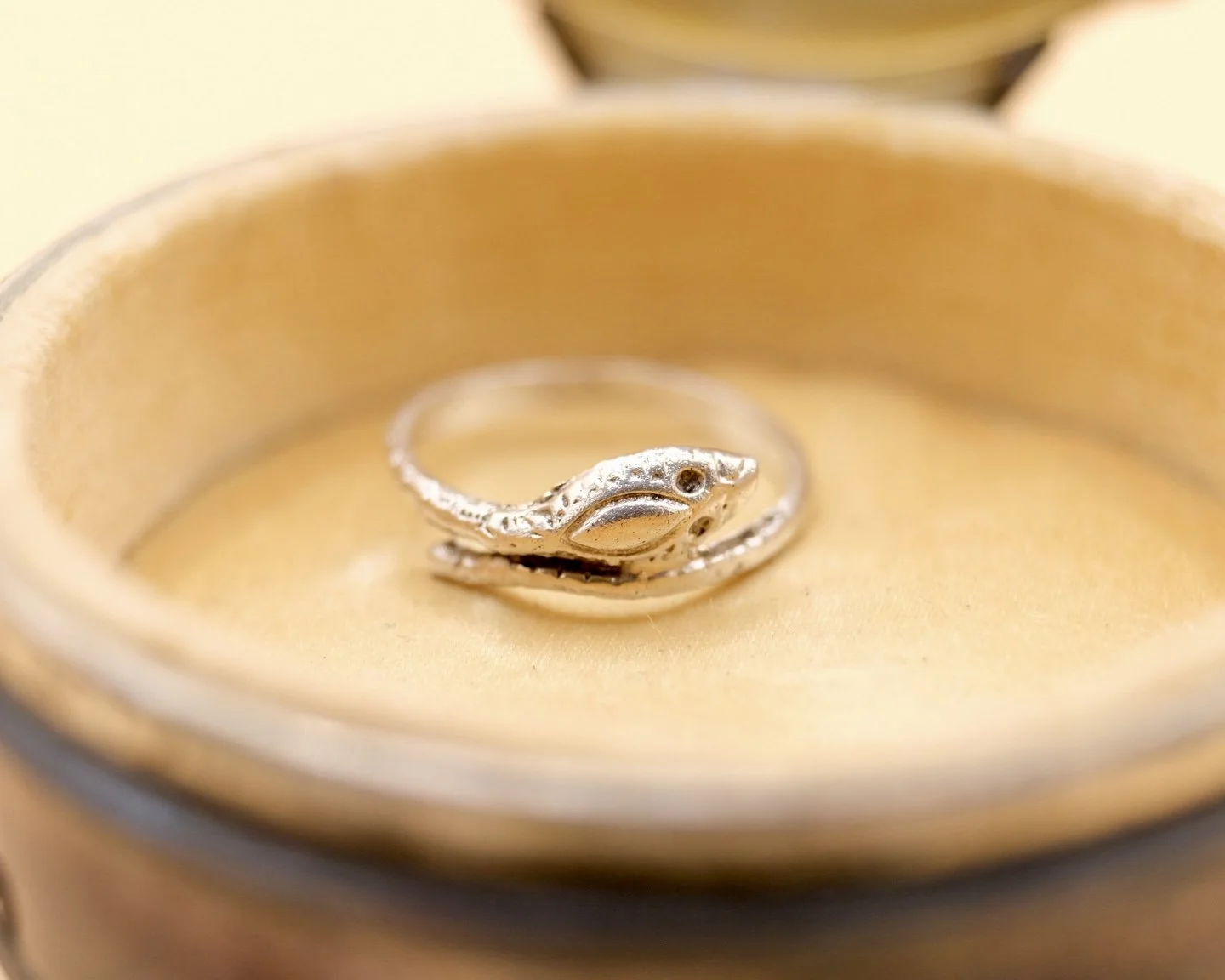 BVL829 silver snake box.jpg