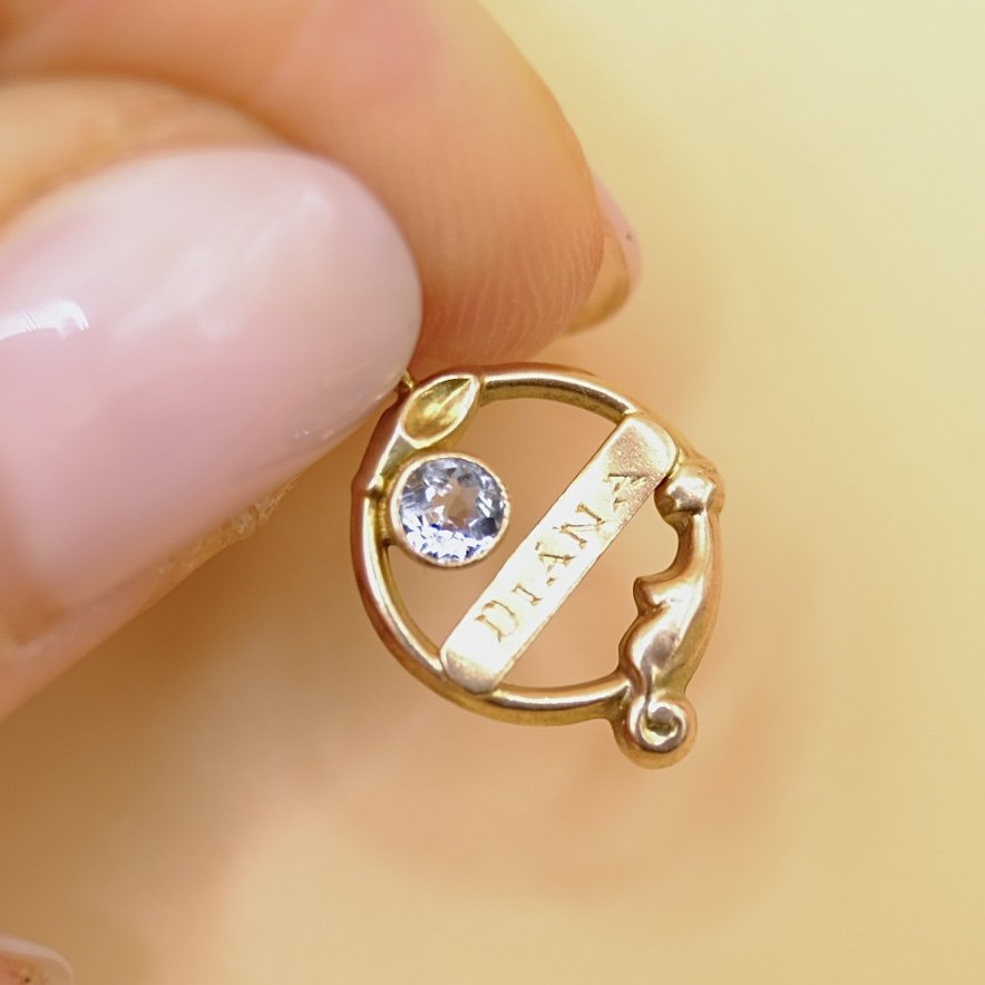 BVL1104-9ct-diana-charm-held.jpg