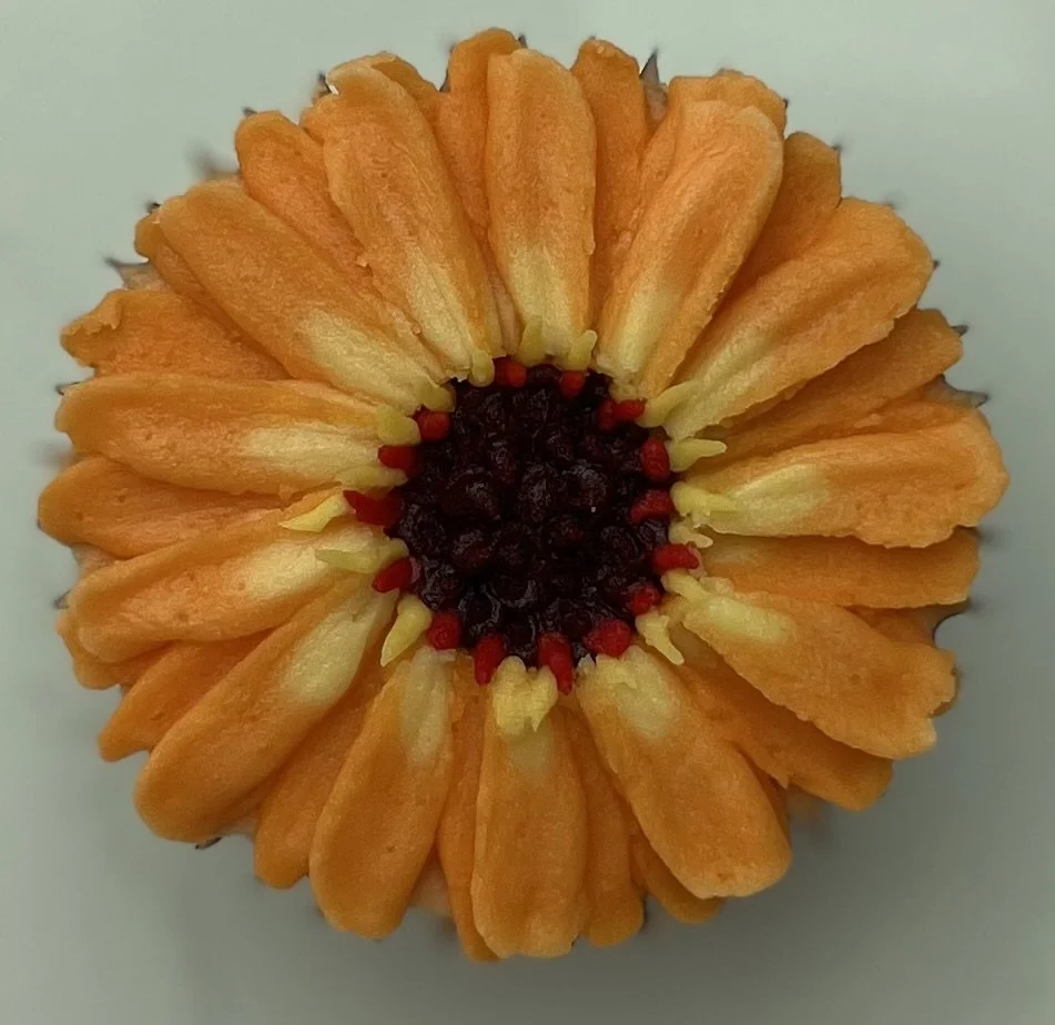 Orange Gerbera Daisy